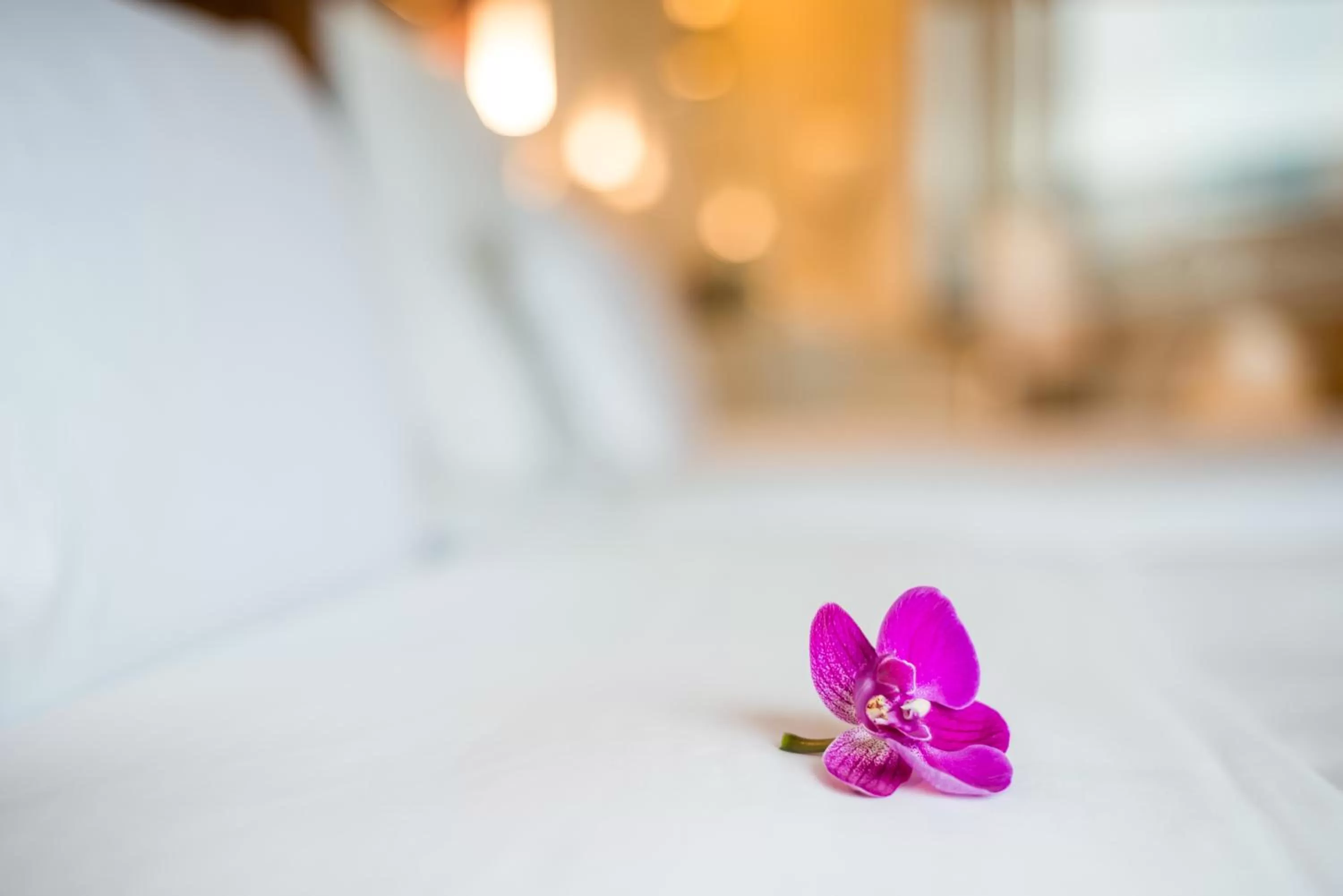 Bed in Pullman Guangzhou Baiyun Airport - Free Shuttle Bus & Official Registration Agency during Canton Fair