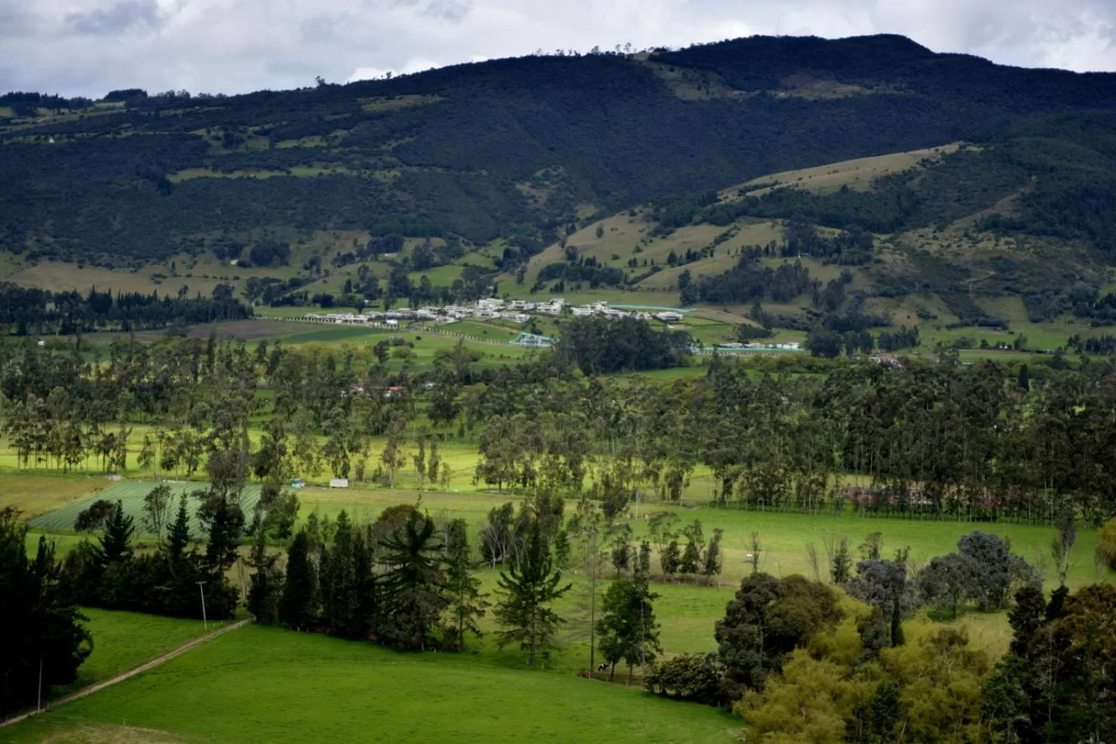 Natural landscape in El Pedregal Sopó