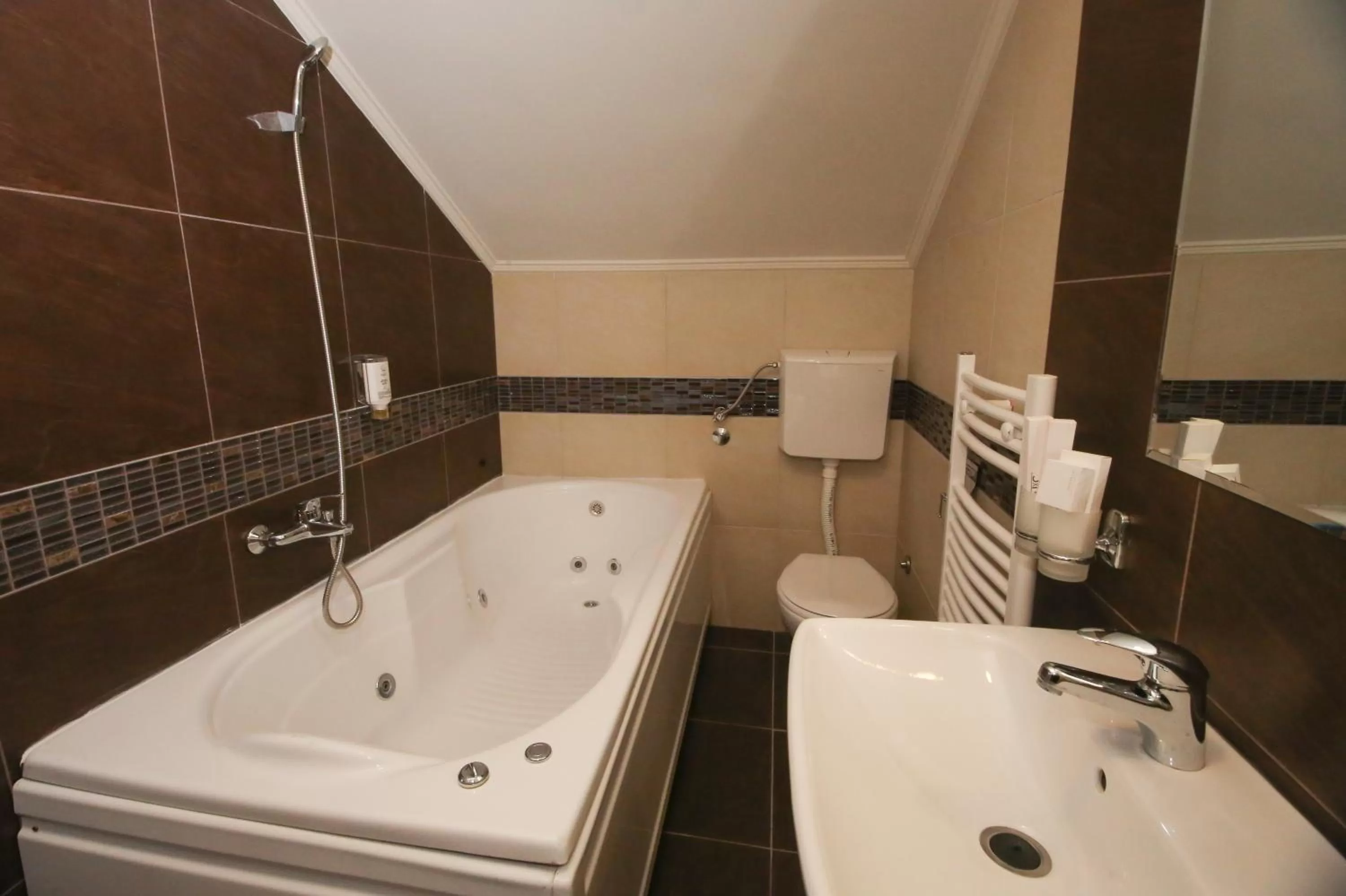 Toilet, Bathroom in Bajadera Lux