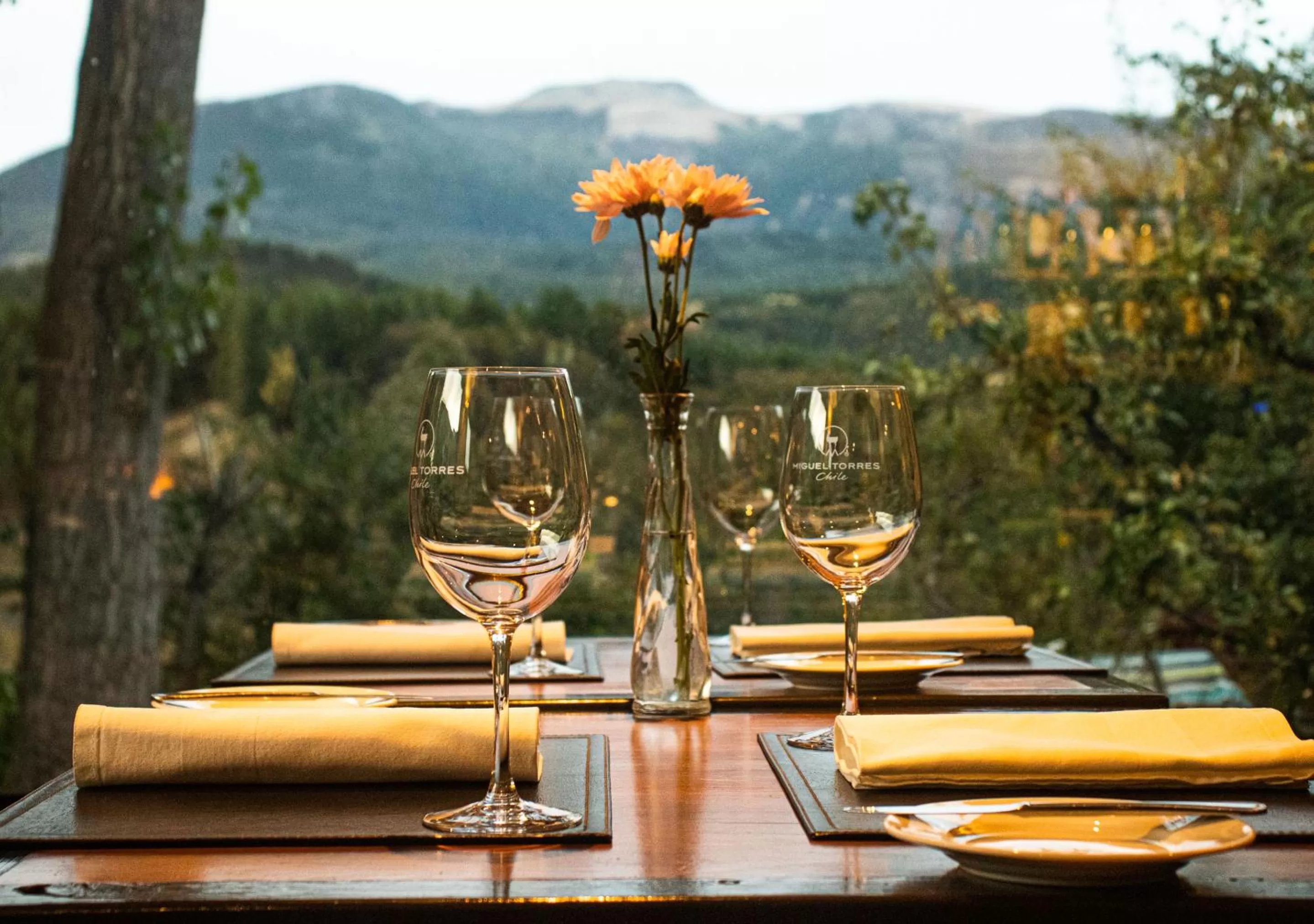 Restaurant/places to eat in El Reloj Hotel