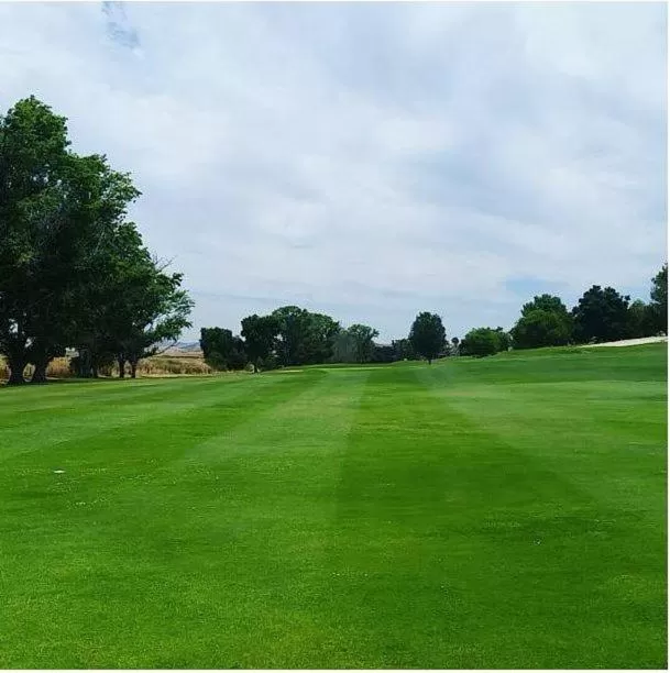 Golfcourse in Ridgemark Golf Club and Resort