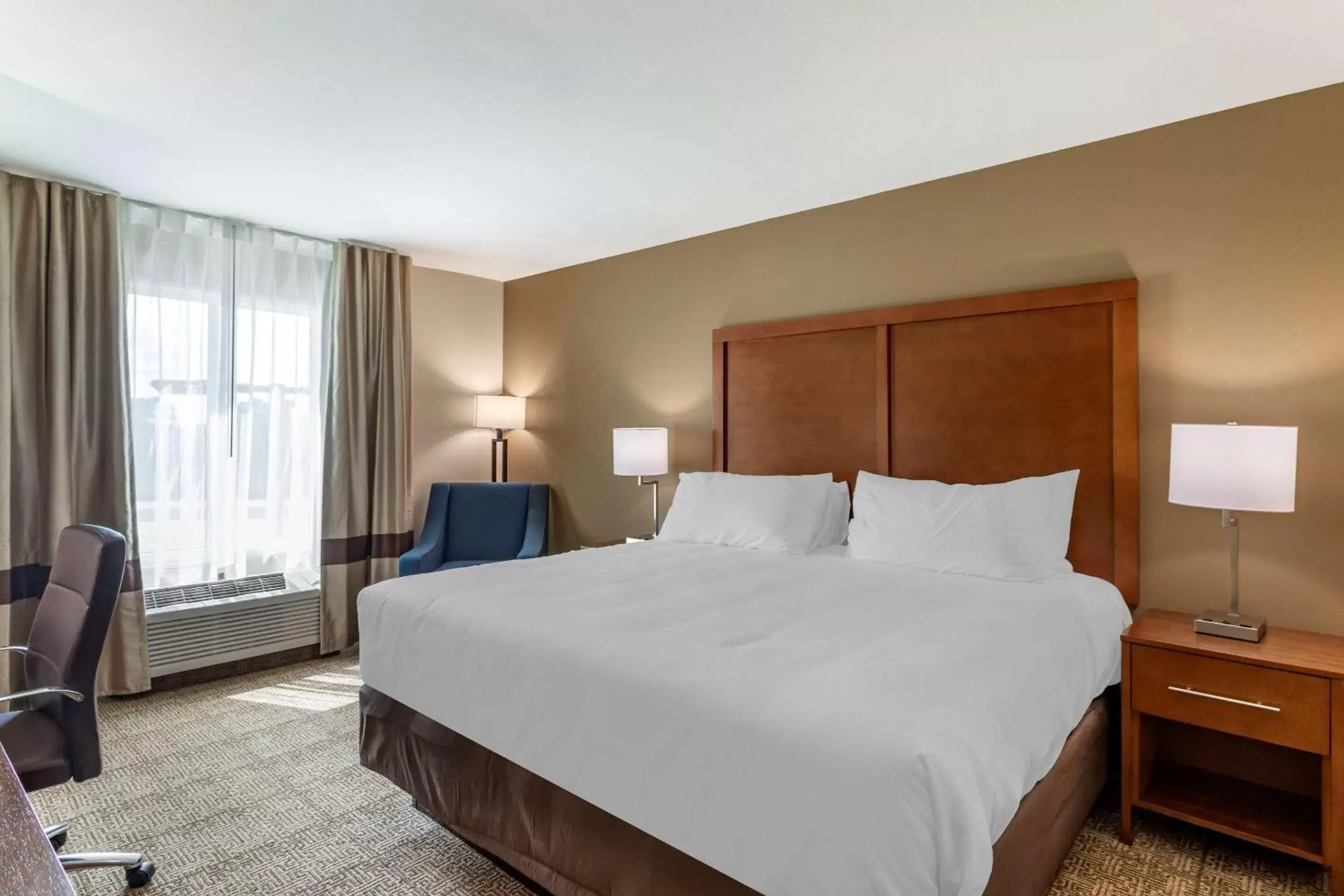 Standard King Room - Non-Smoking in Comfort Inn & Suites Waller Standard King Room - Non-Smoking in Comfort Inn & Suites Waller