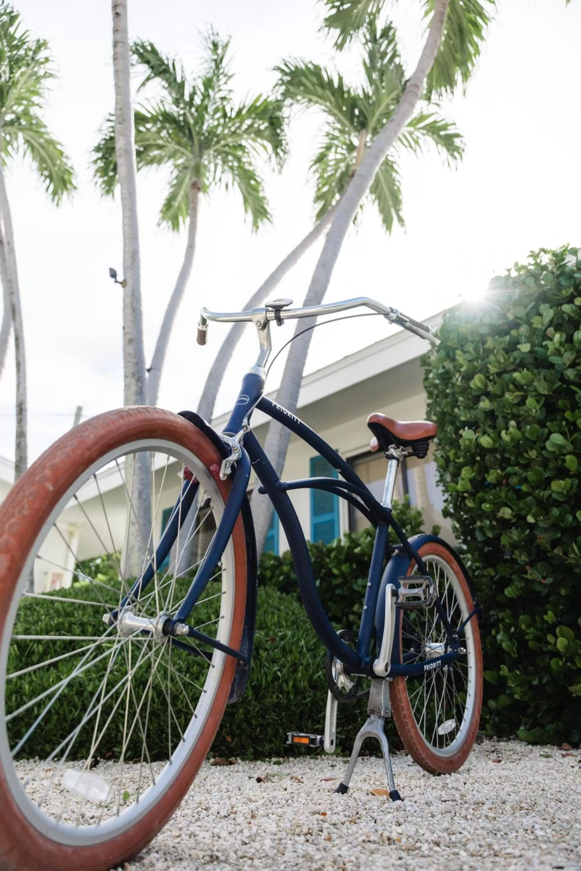 Activities in Hadley Resort and Marina