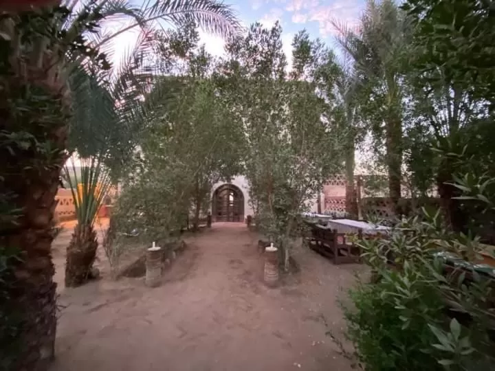 Garden in Nour El Balad