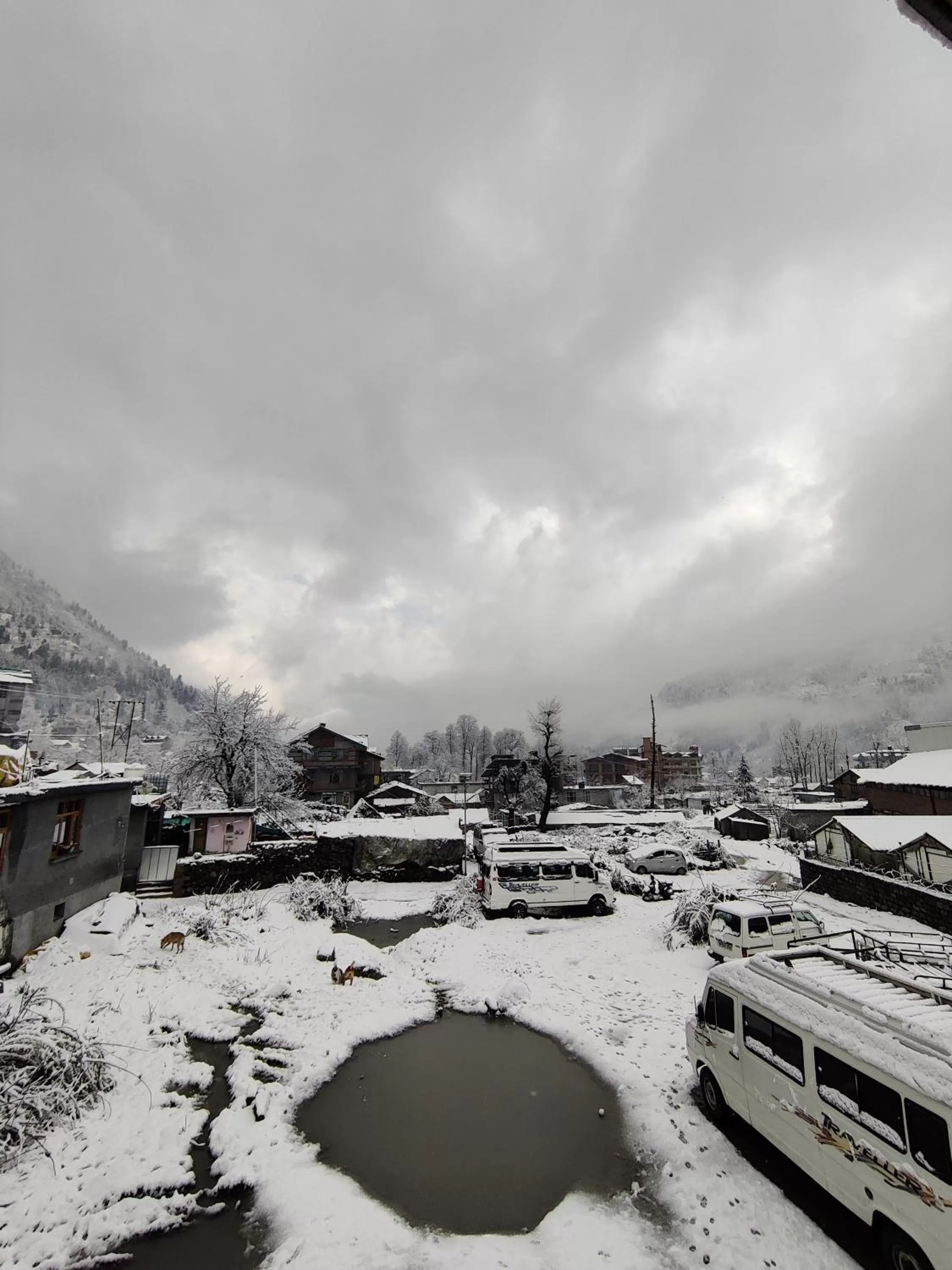 View (from property/room), Winter in High Nation Resort Manali