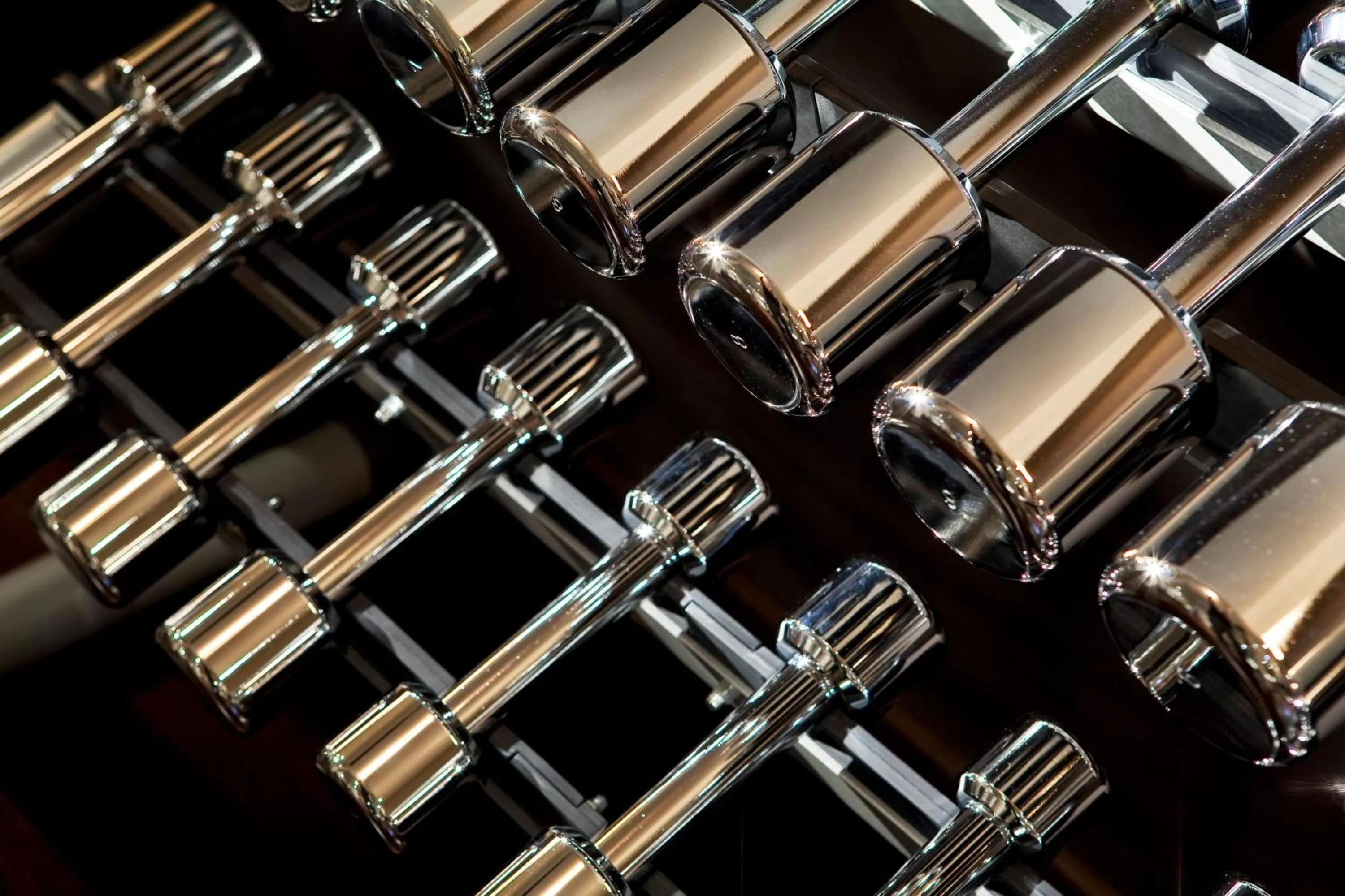 Fitness centre/facilities in Hotel D - Basel - Fully Renovated 2025