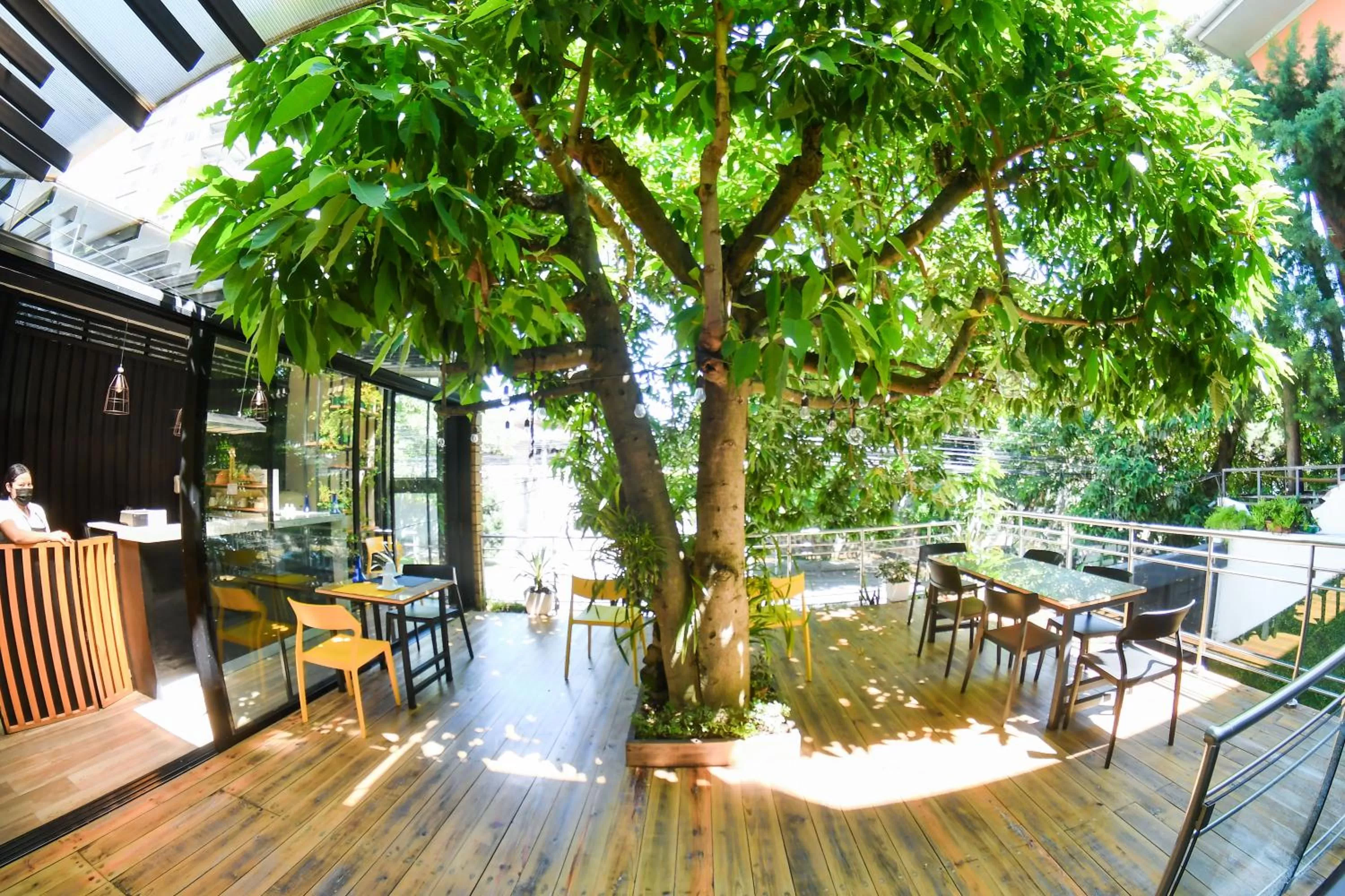 Balcony/Terrace in Kaleo Hotel Boutique