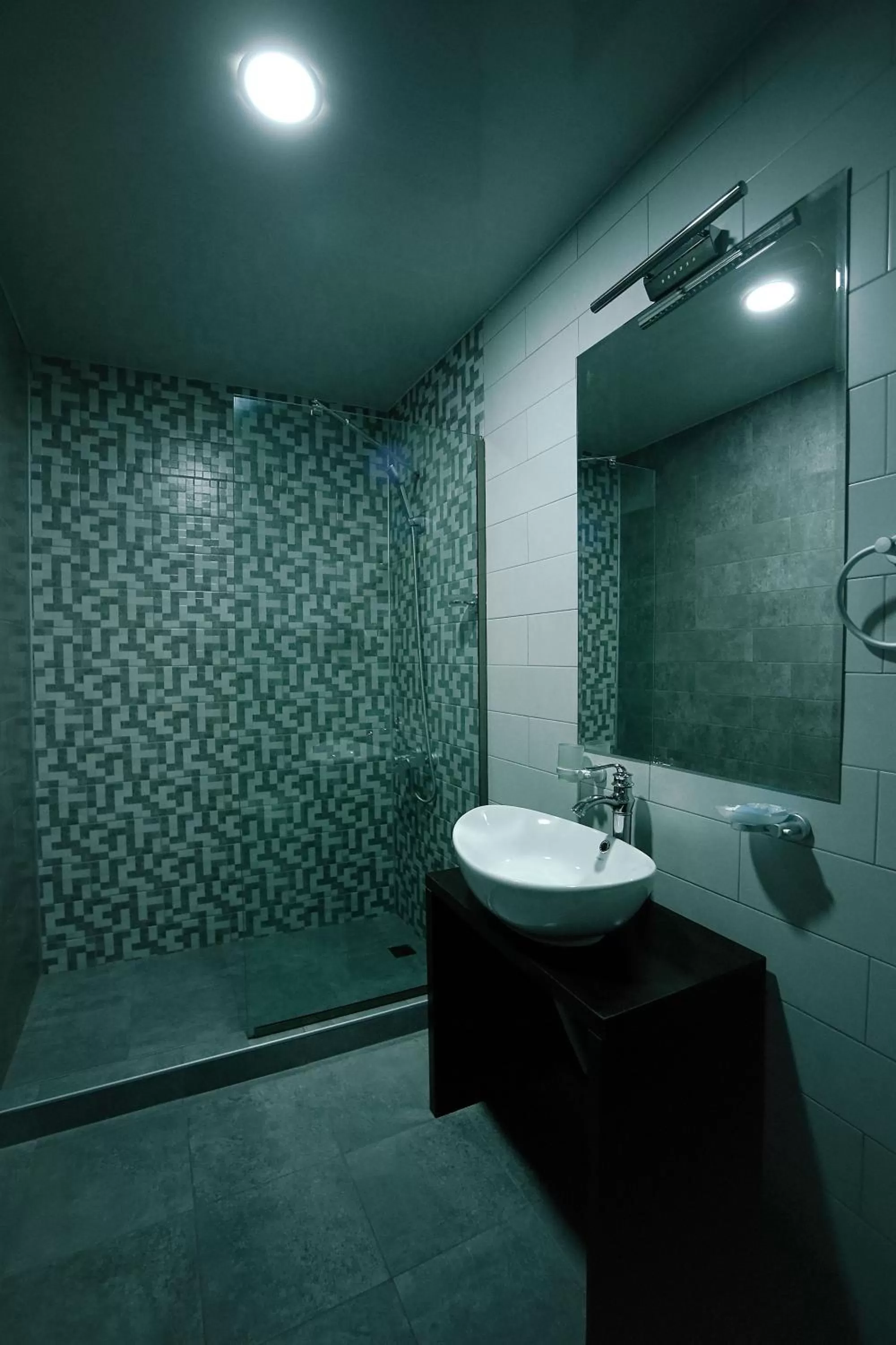 Shower, Bathroom in Hotel Rero