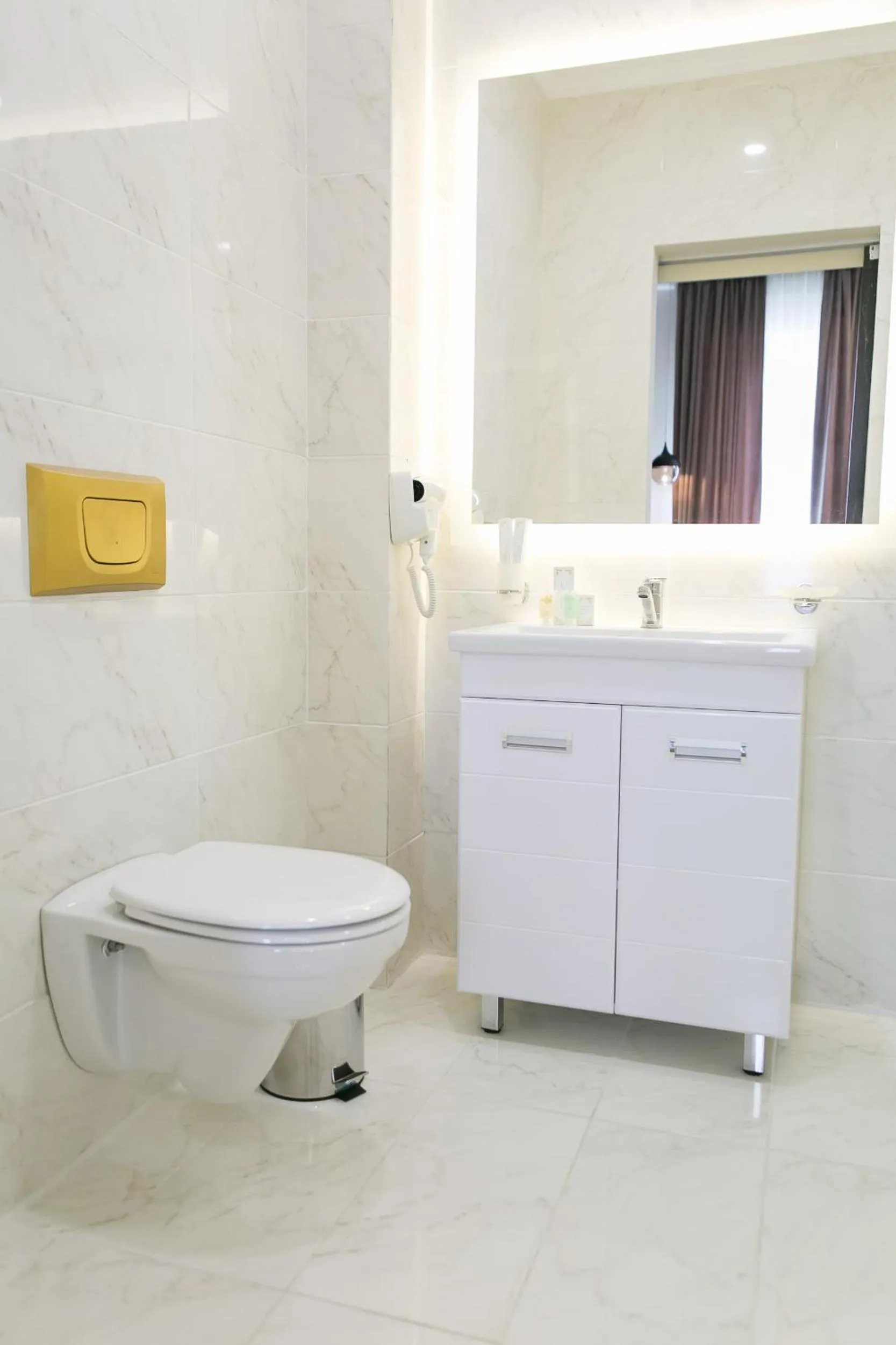 Toilet in Ambassador