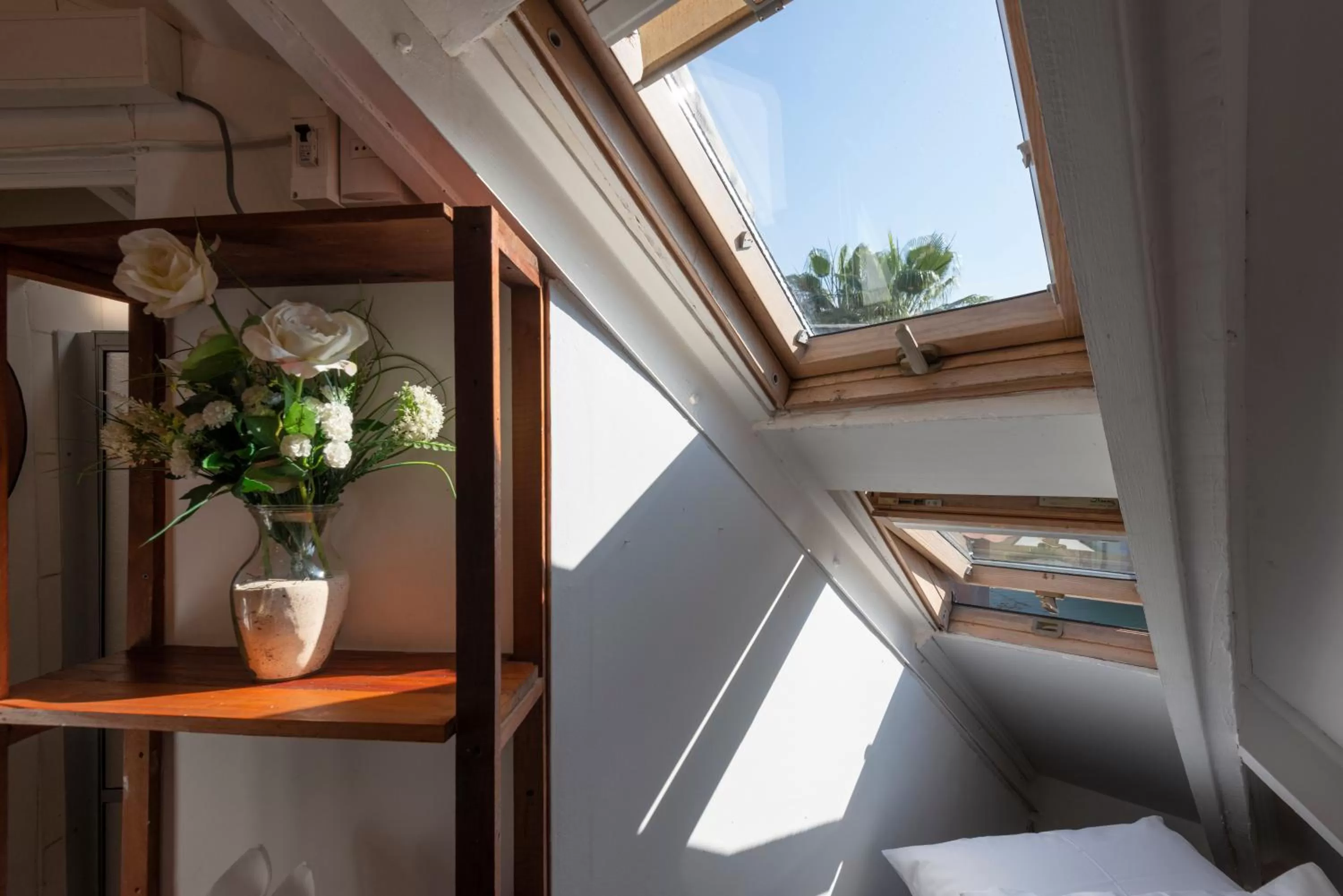 Decorative detail, View in Providencia Bed & Breakfast