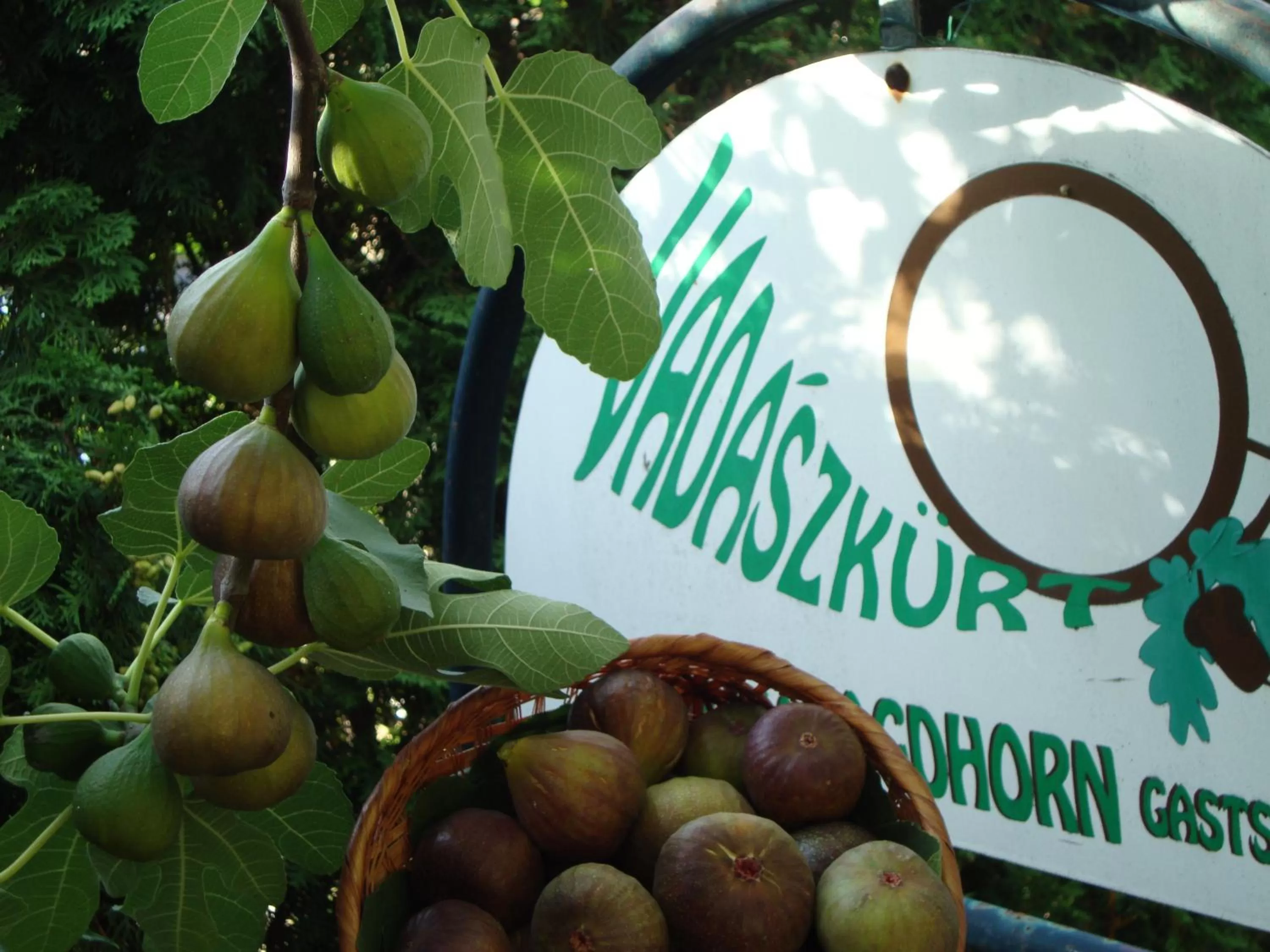 Other in Vadászkürt Panzió