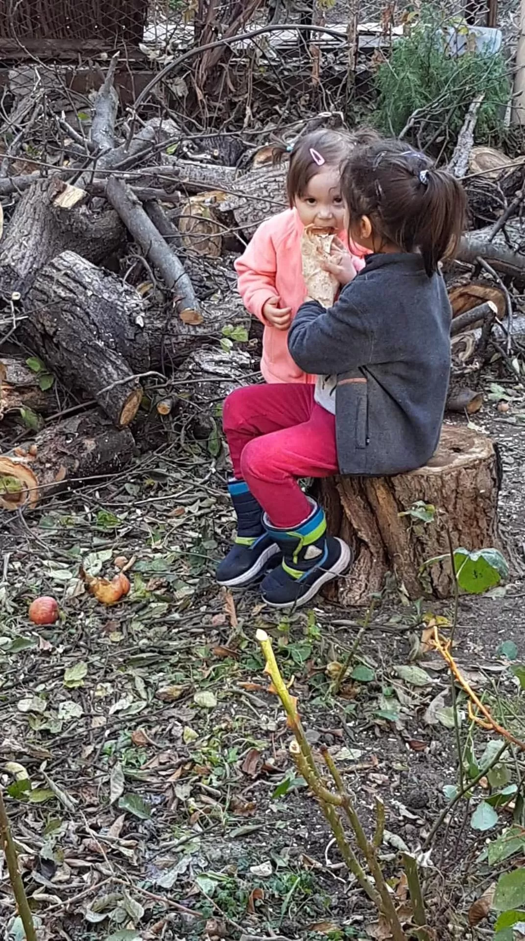 Ruzanna's Bed & Breakfast