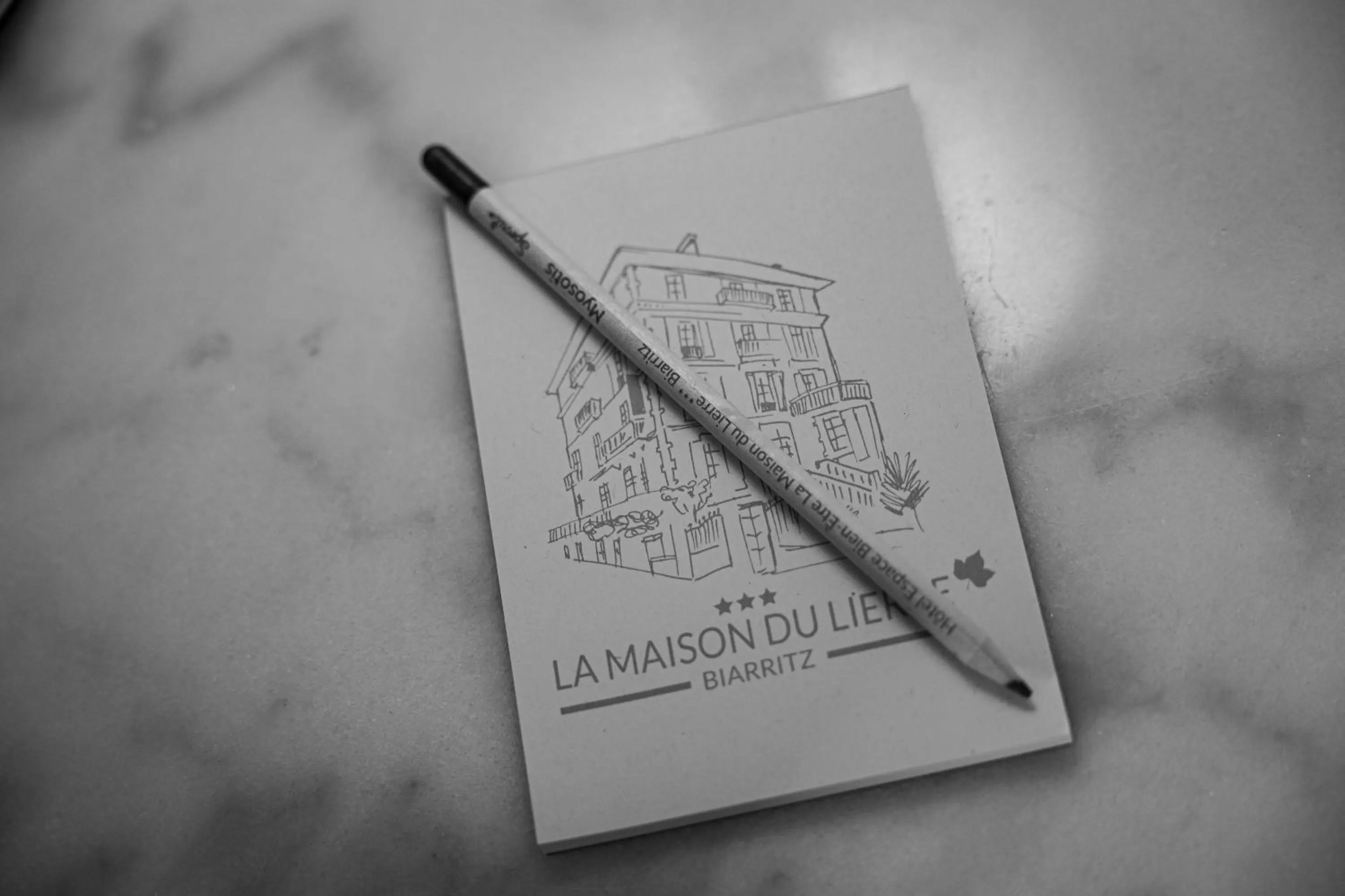 Decorative detail in Hôtel & Espace Bien-être La Maison du Lierre