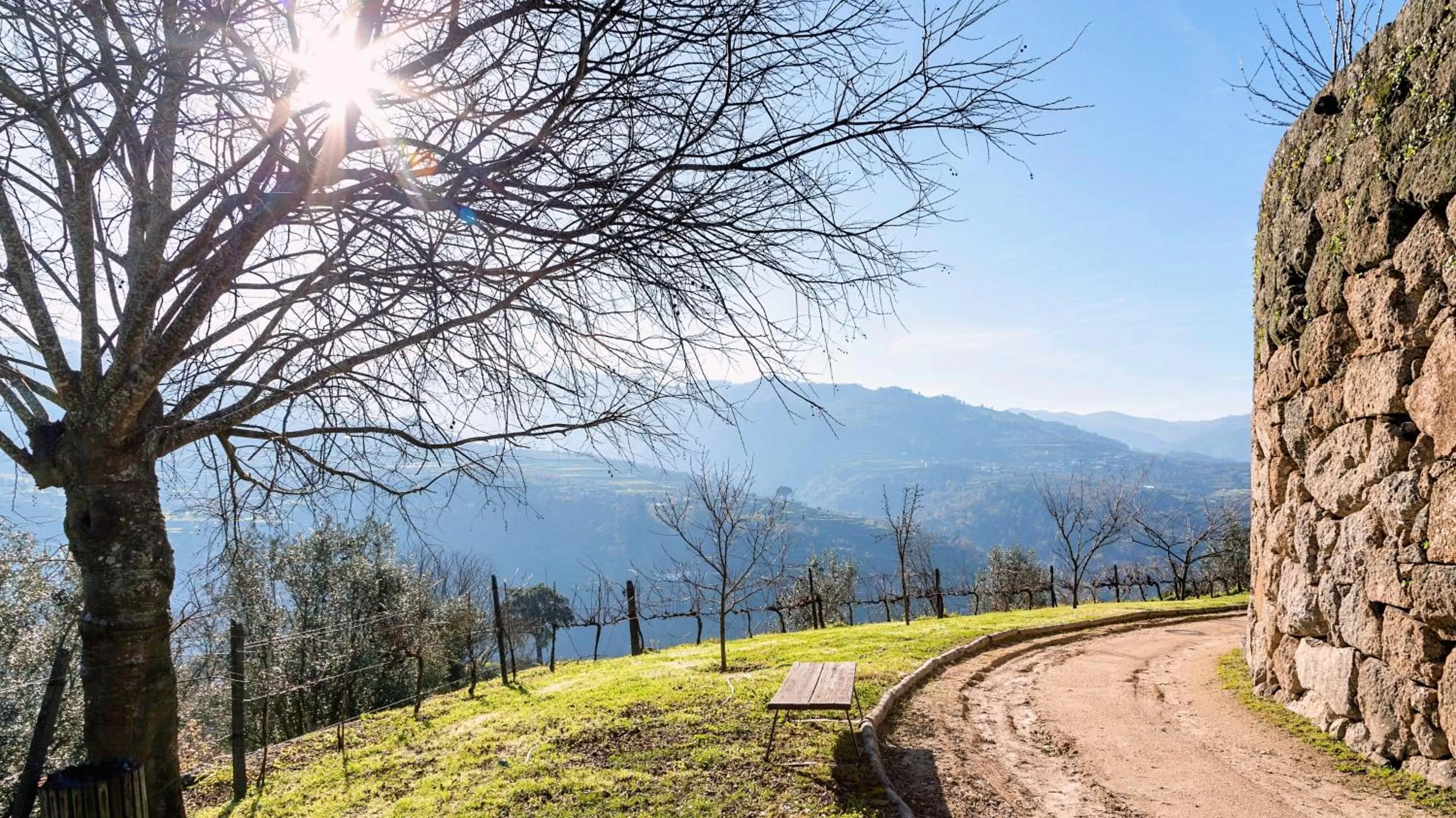 Natural landscape in Douro Palace Hotel Resort & SPA