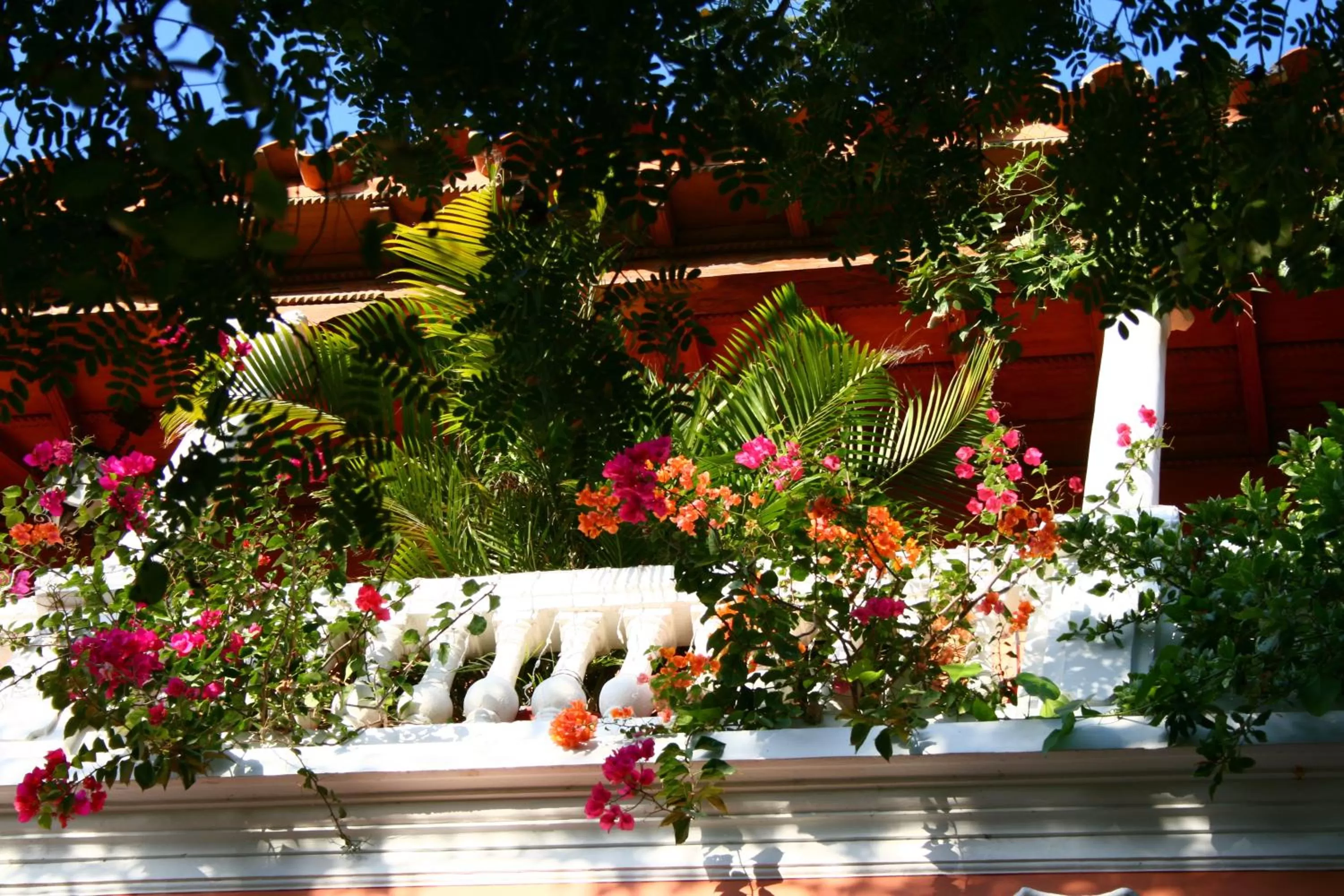 Balcony/Terrace in Hotel Casa La Fe