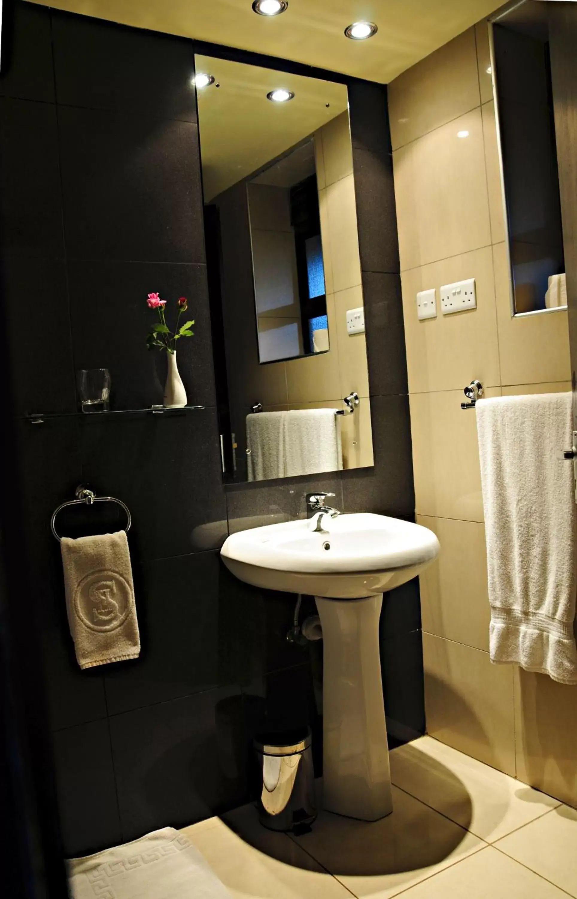 Deluxe Single Room in Dolphin Suites Deluxe Single Room in Dolphin Suites