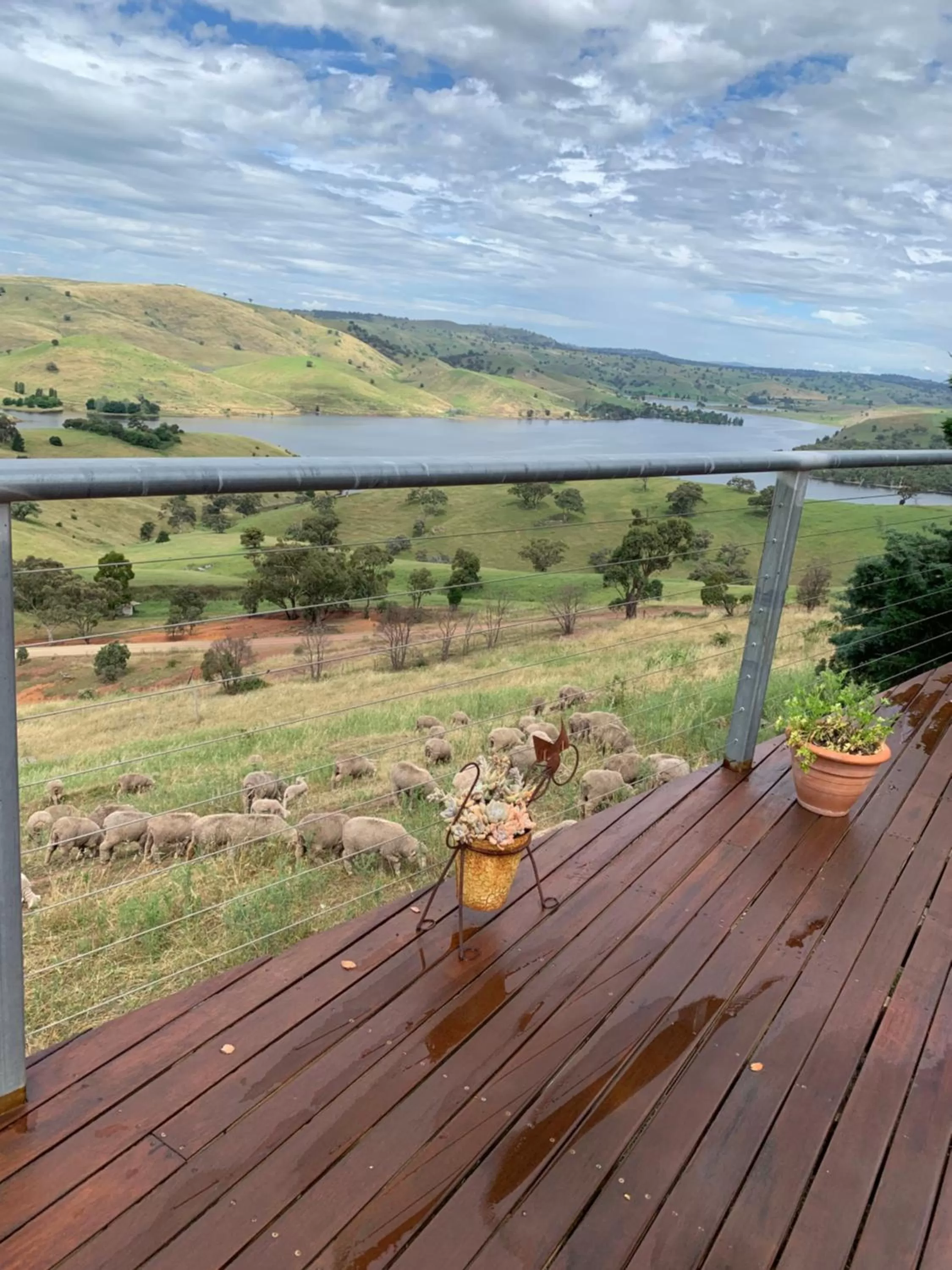 Amazing Views Pet Friendly Bed and Breakfast