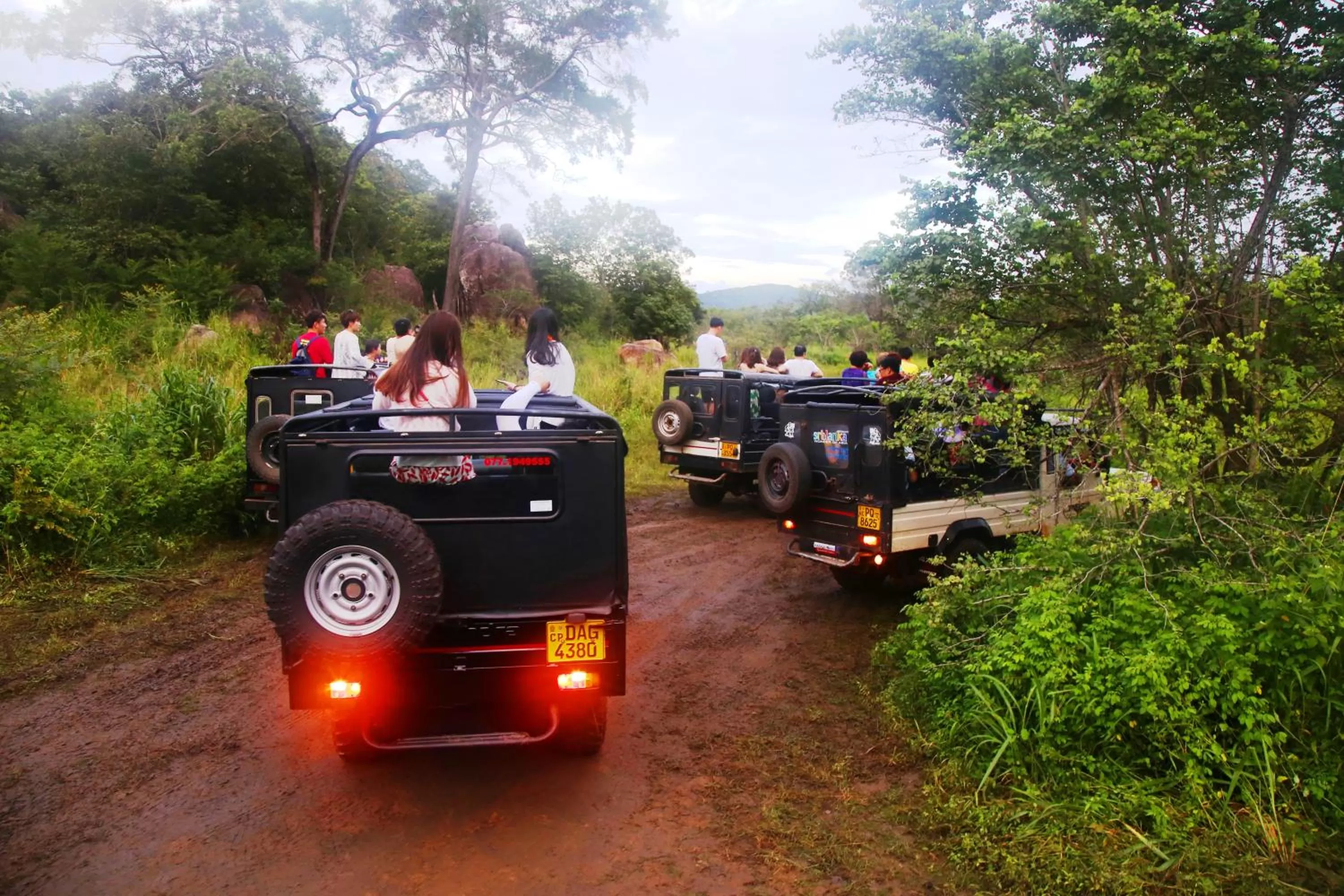 People in Honey Tree Polonnaruwa