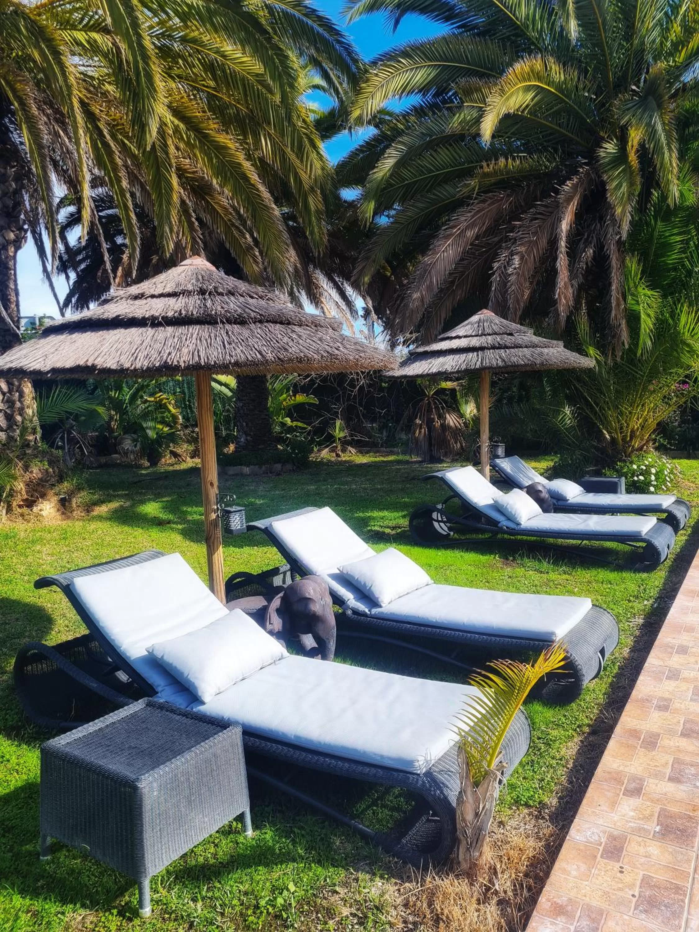 Swimming pool in Villa Paraiso - Naturism Optional Adults Only