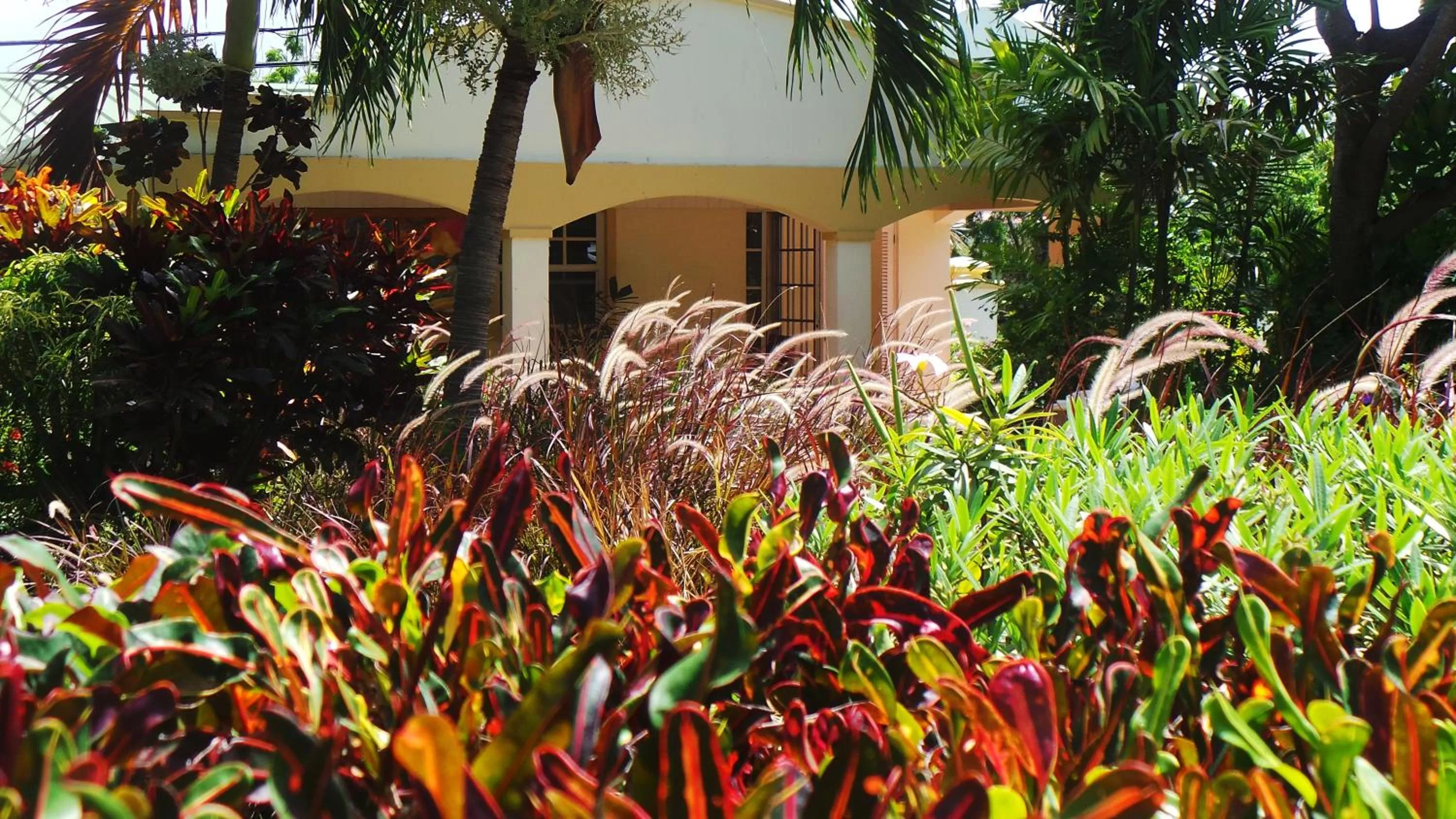 Garden in Blue Horizons Garden Resort