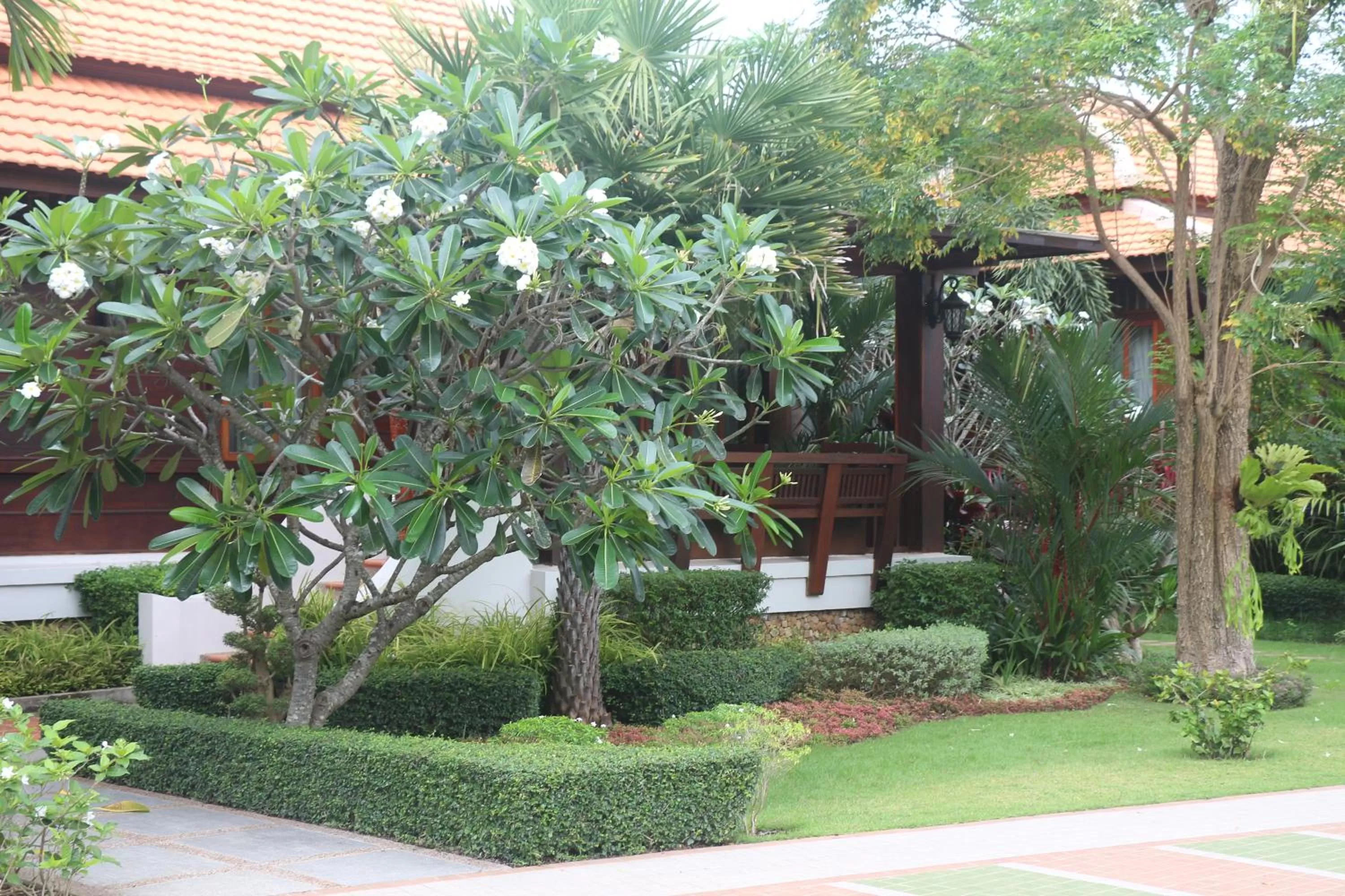 Garden view, Garden in Try Palace Resort-Kep