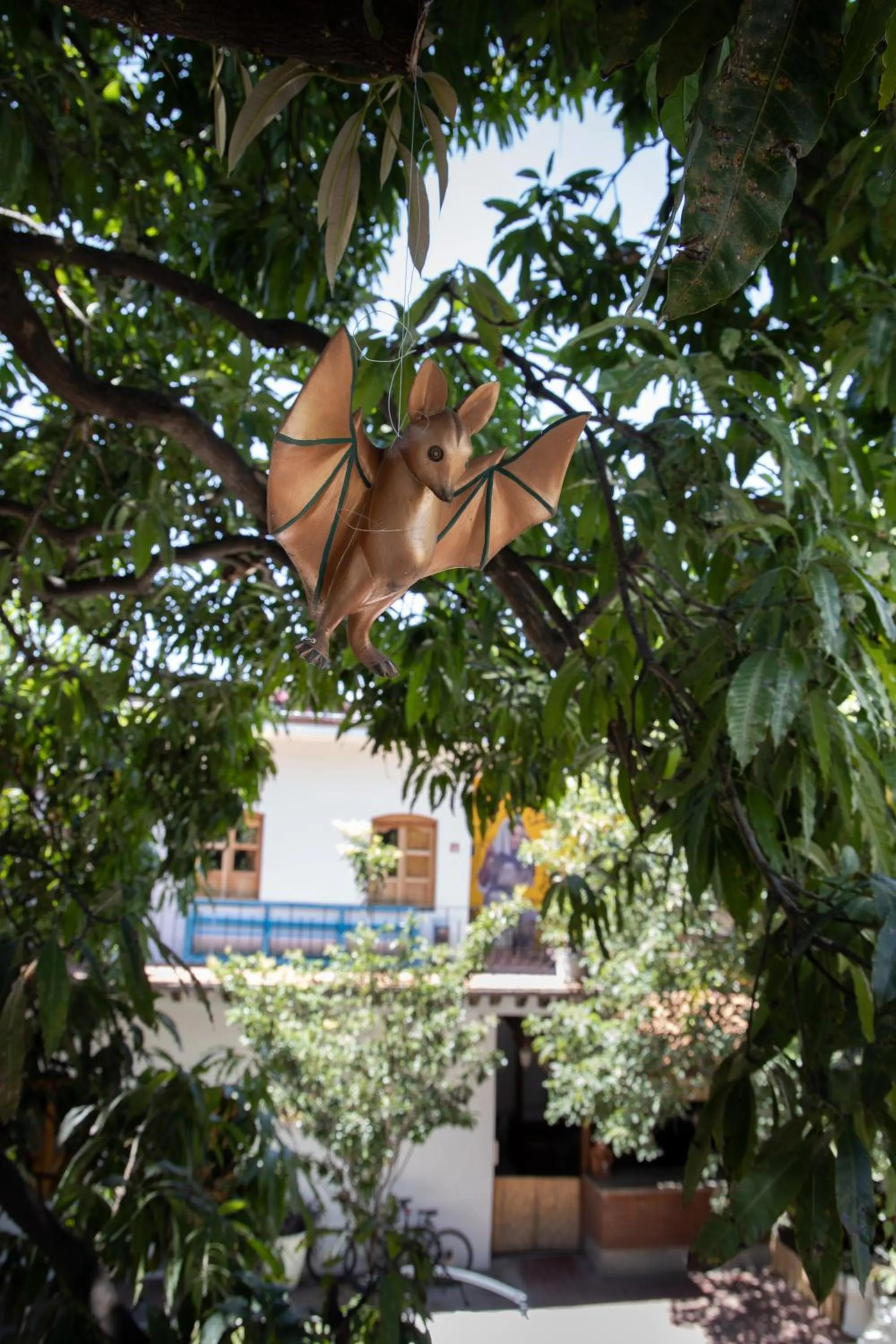 Patio in NaNa Vida Hotel Oaxaca