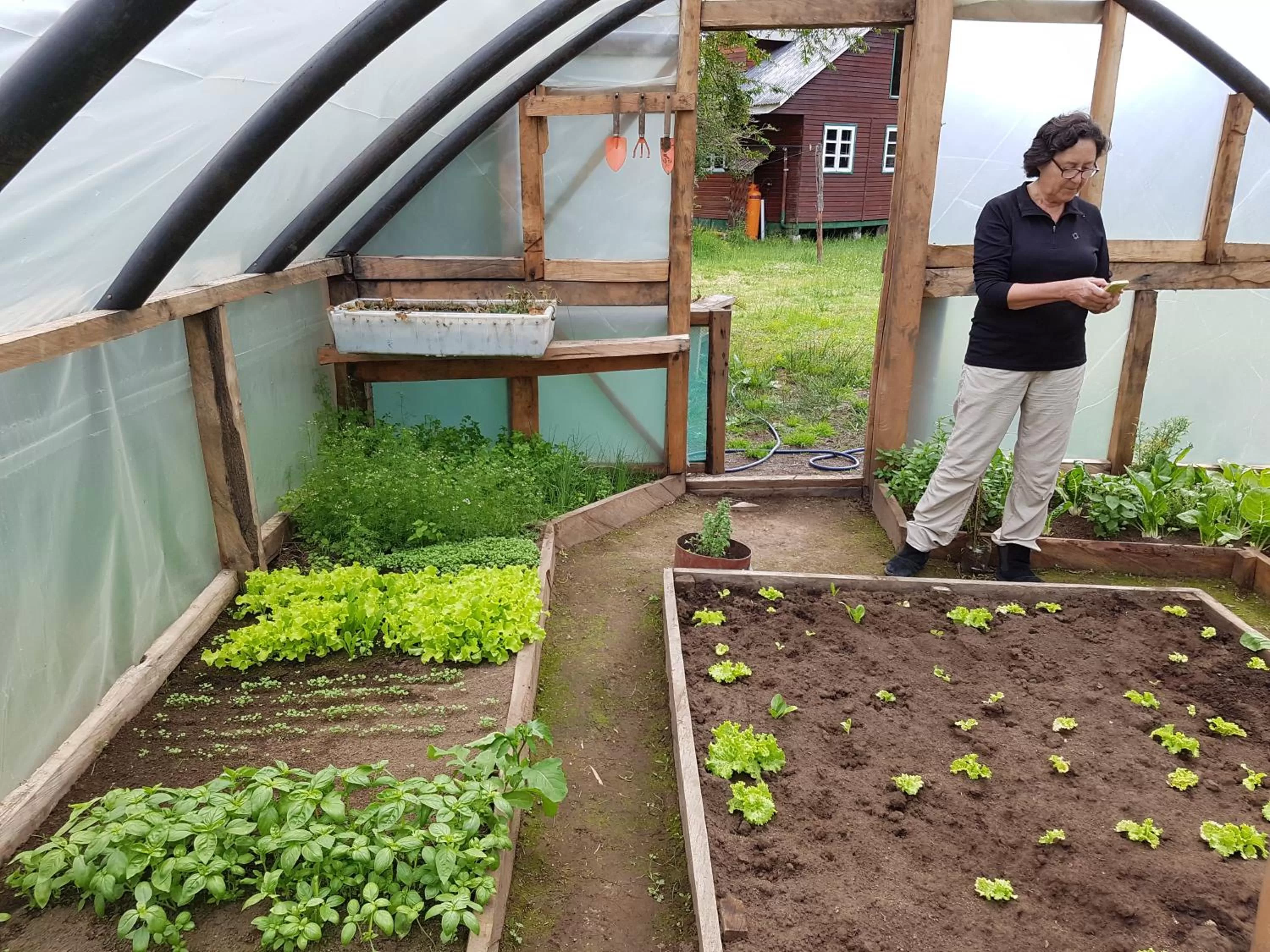 Property building in Posada Queulat