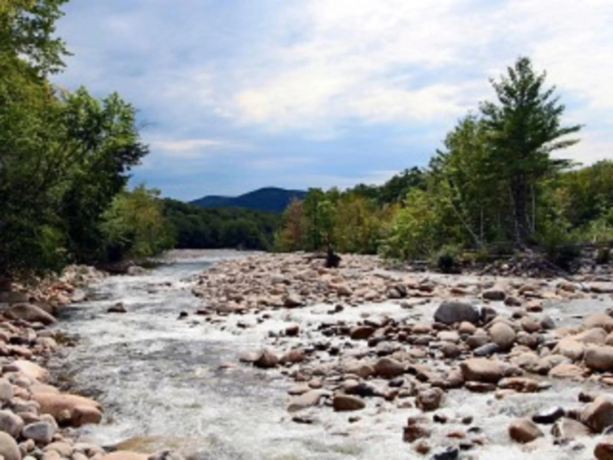 Natural landscape in Rivergreen Resort