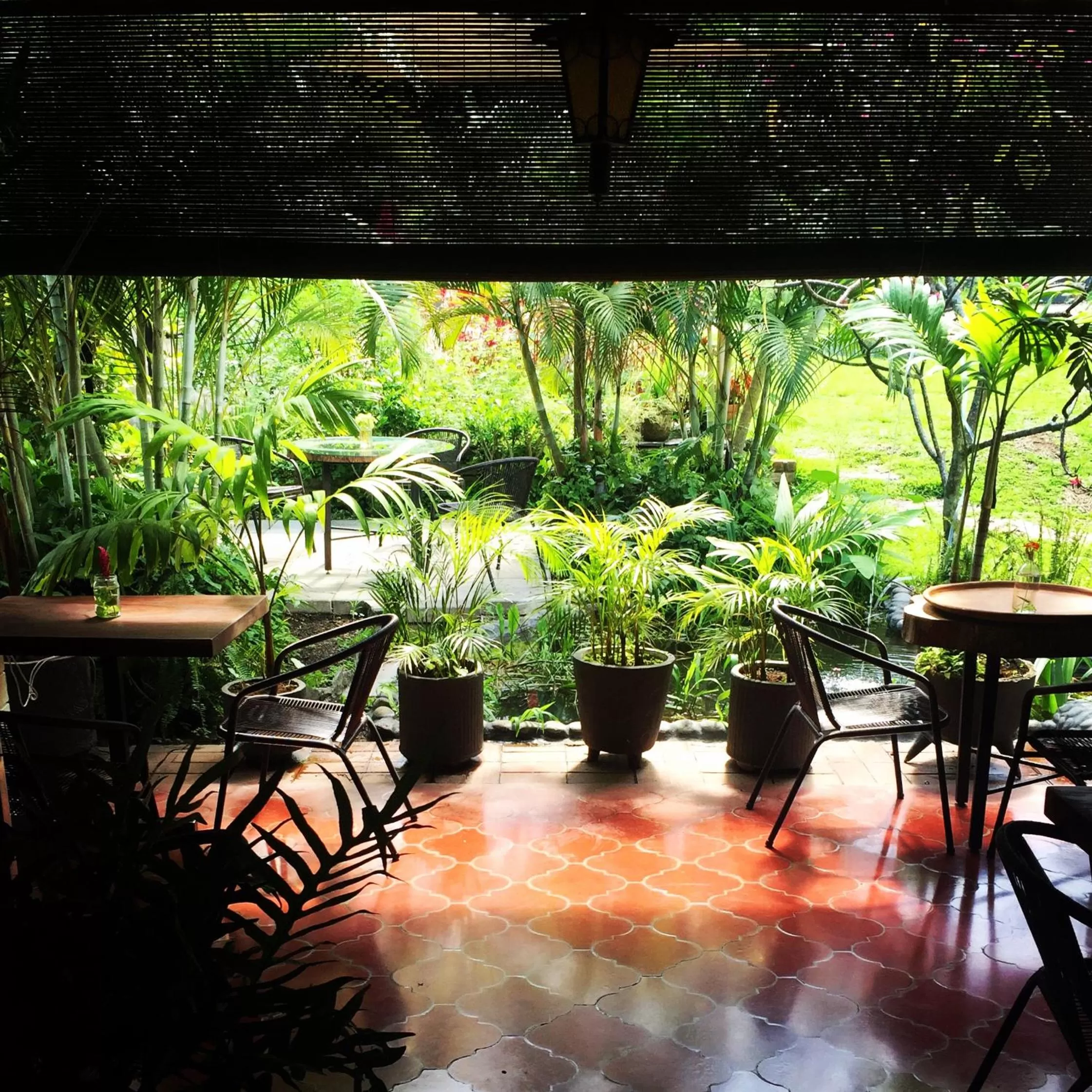 Garden view in Cinco Hotel B&B