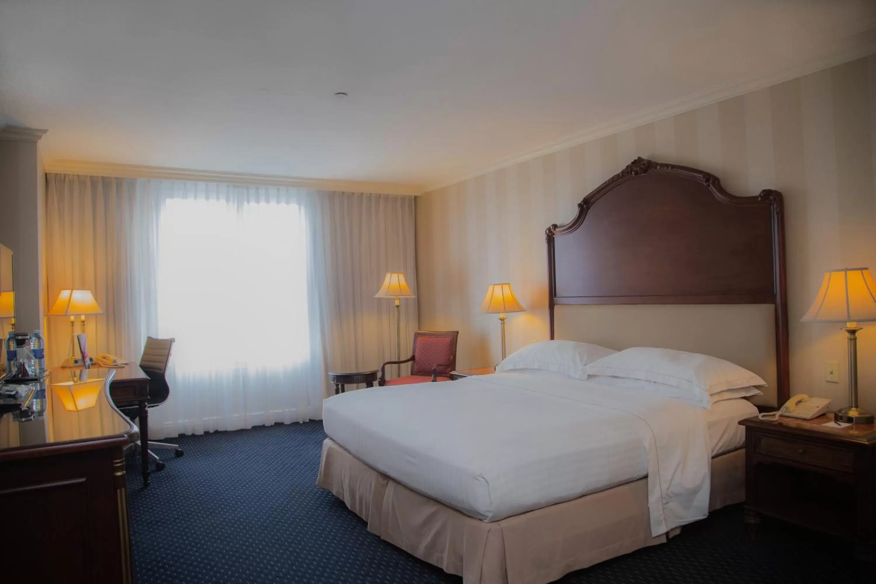 Superior King Room - single occupancy in Barceló San Salvador Superior King Room - single occupancy in Barceló San Salvador