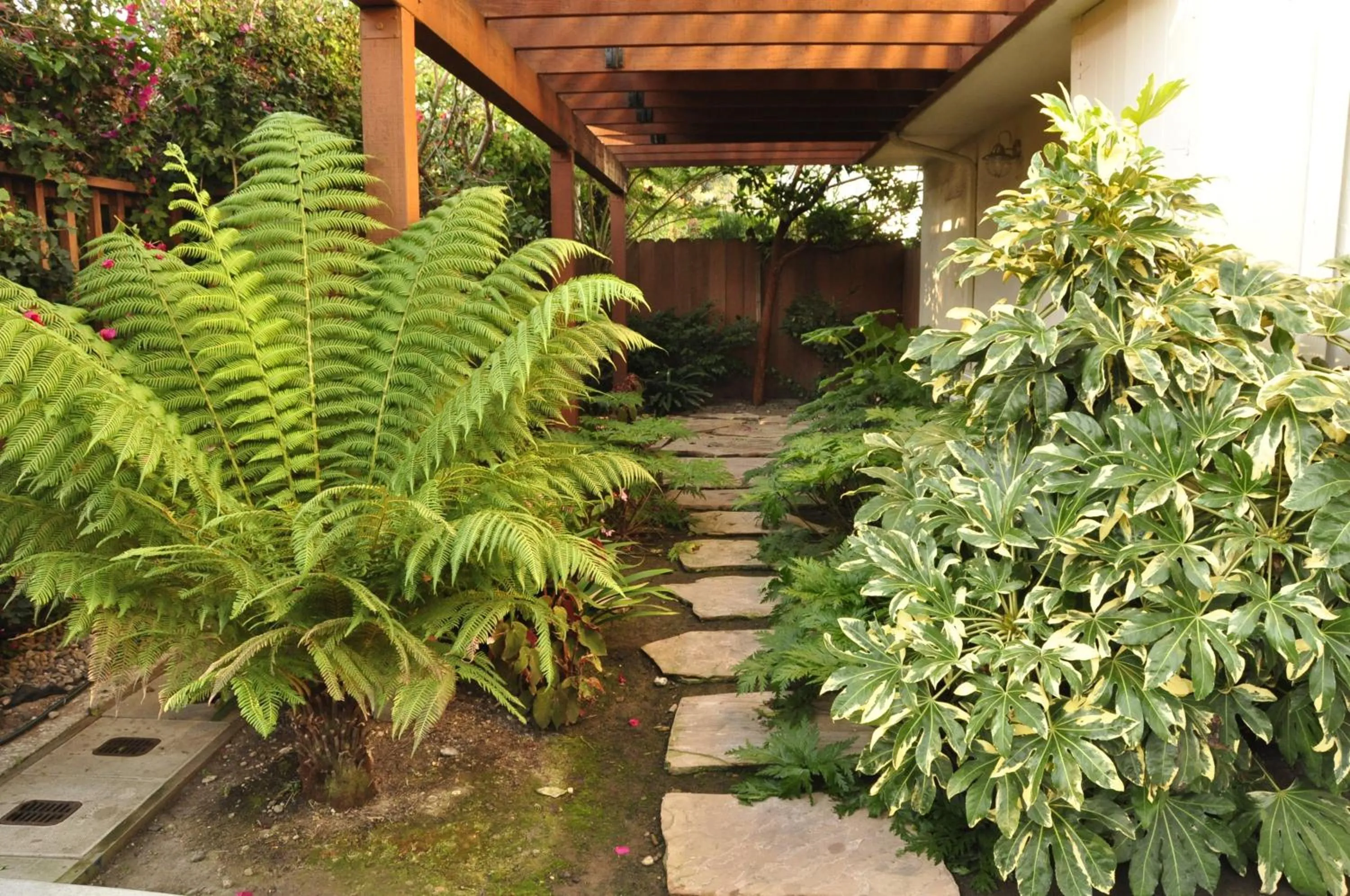 Garden in The Eagle Inn