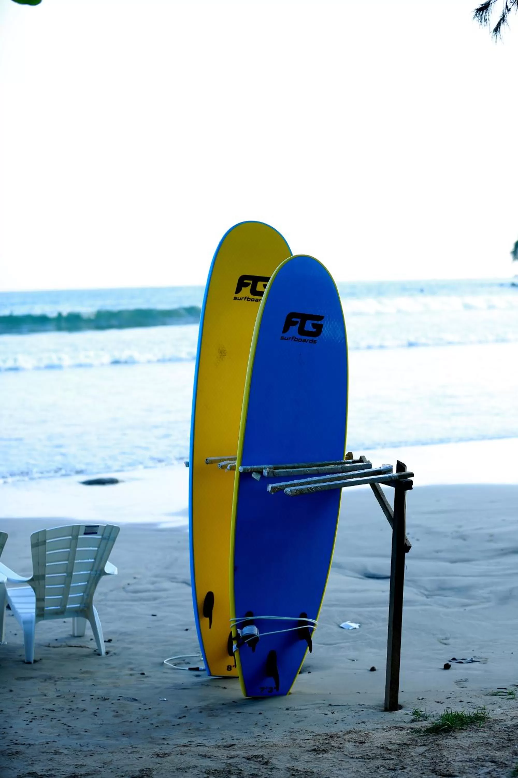 Windsurfing in Temple Tree