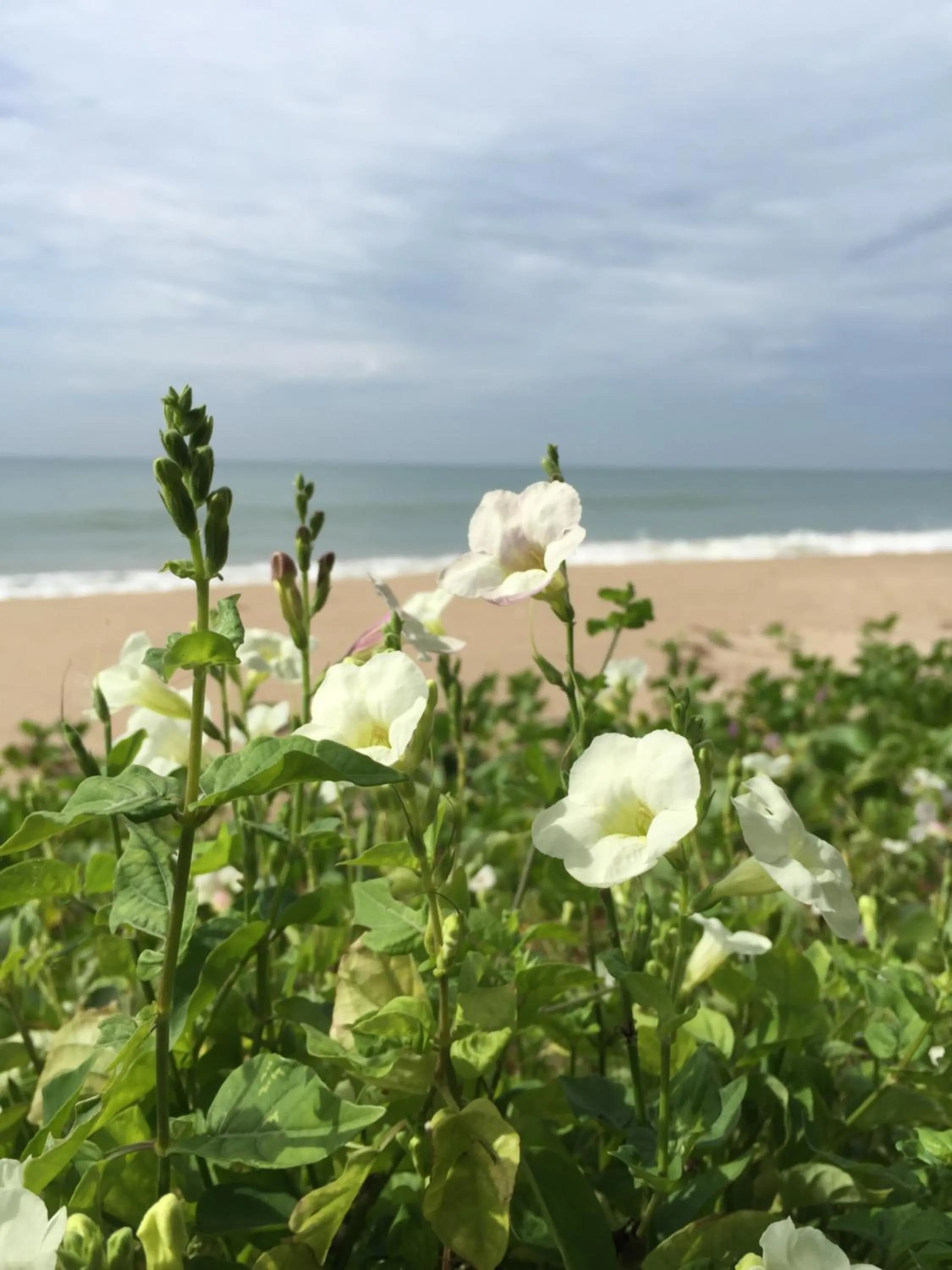 Property building in Bayview Resort