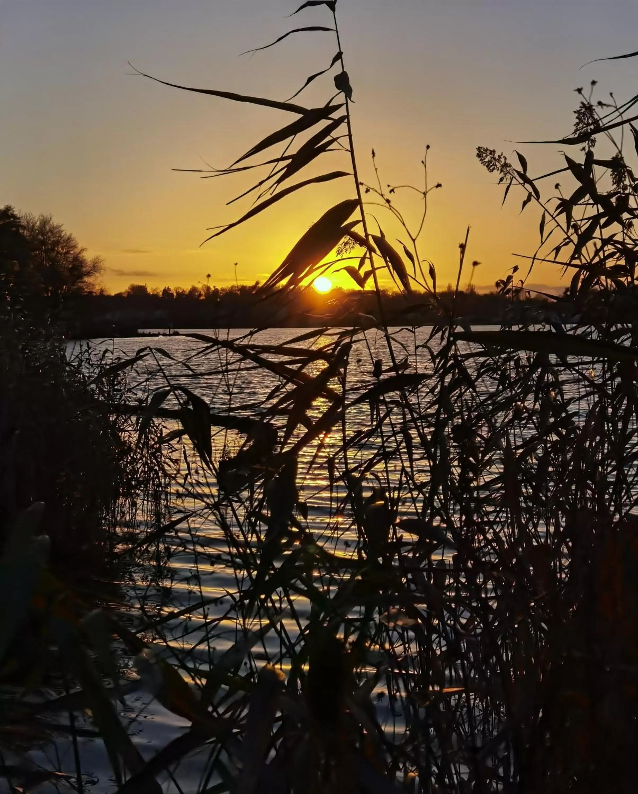 Staff in Seehotel Grunewald