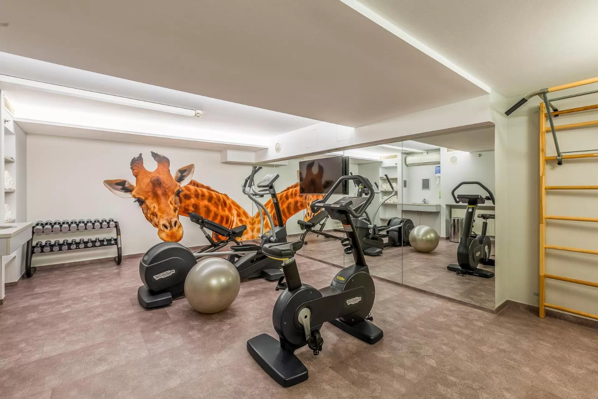 Fitness centre/facilities in Quality Hotel Vienna