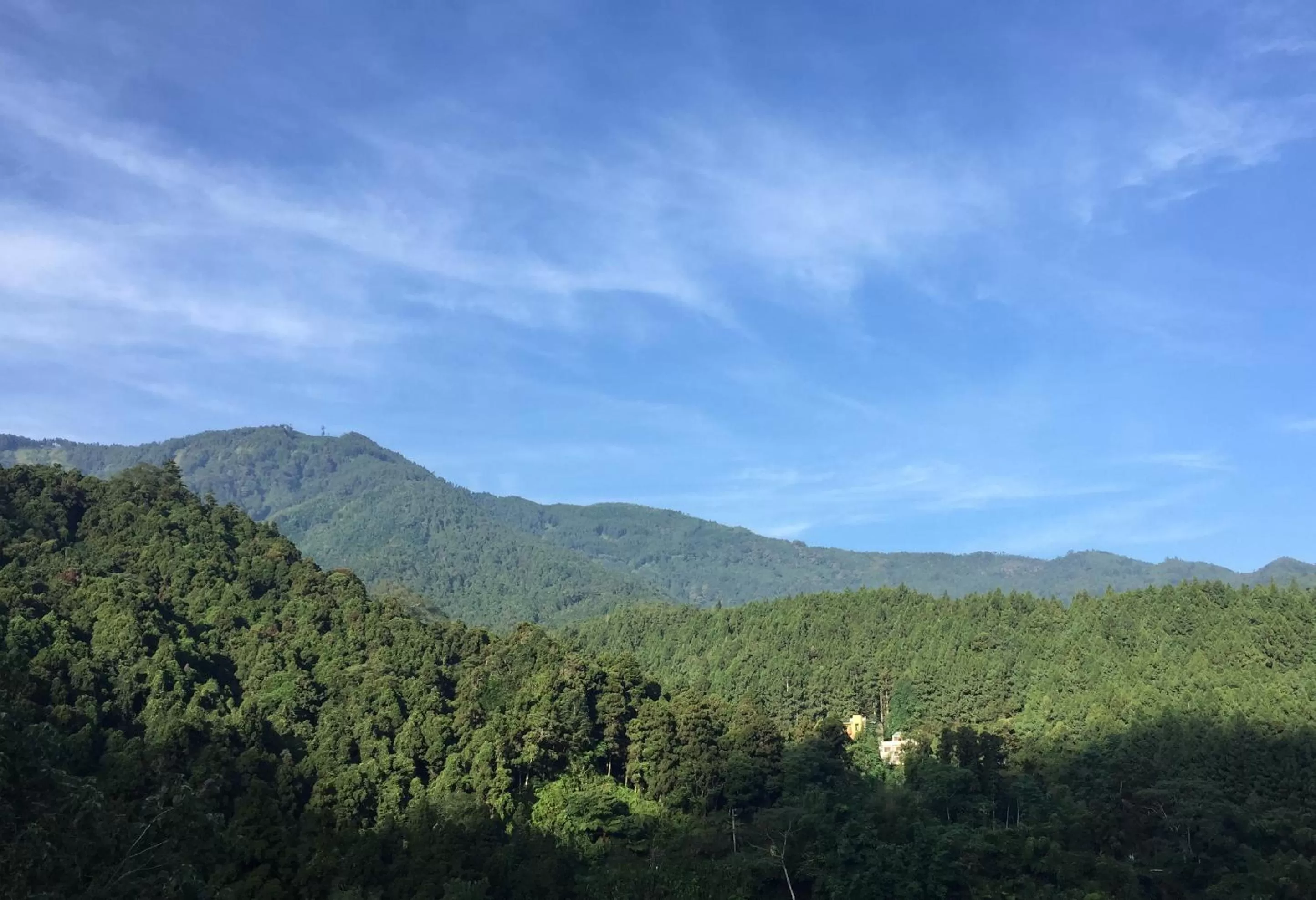 Natural landscape in Ginkgo Hotel