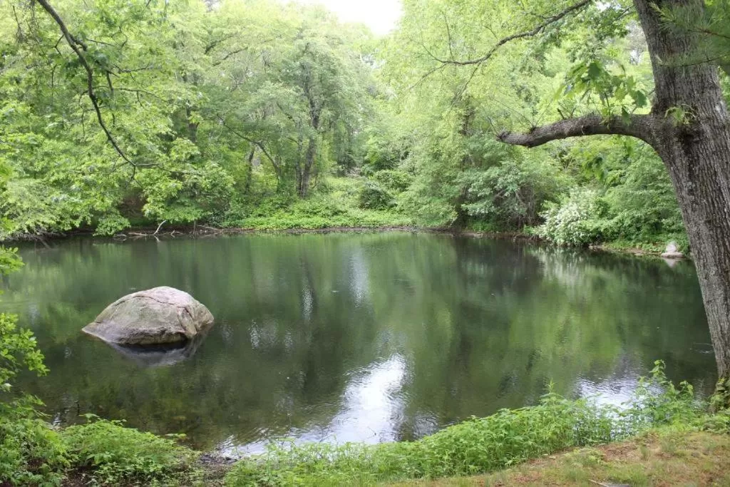 Natural Landscape in Herring Run Motel and Tiny Cabins