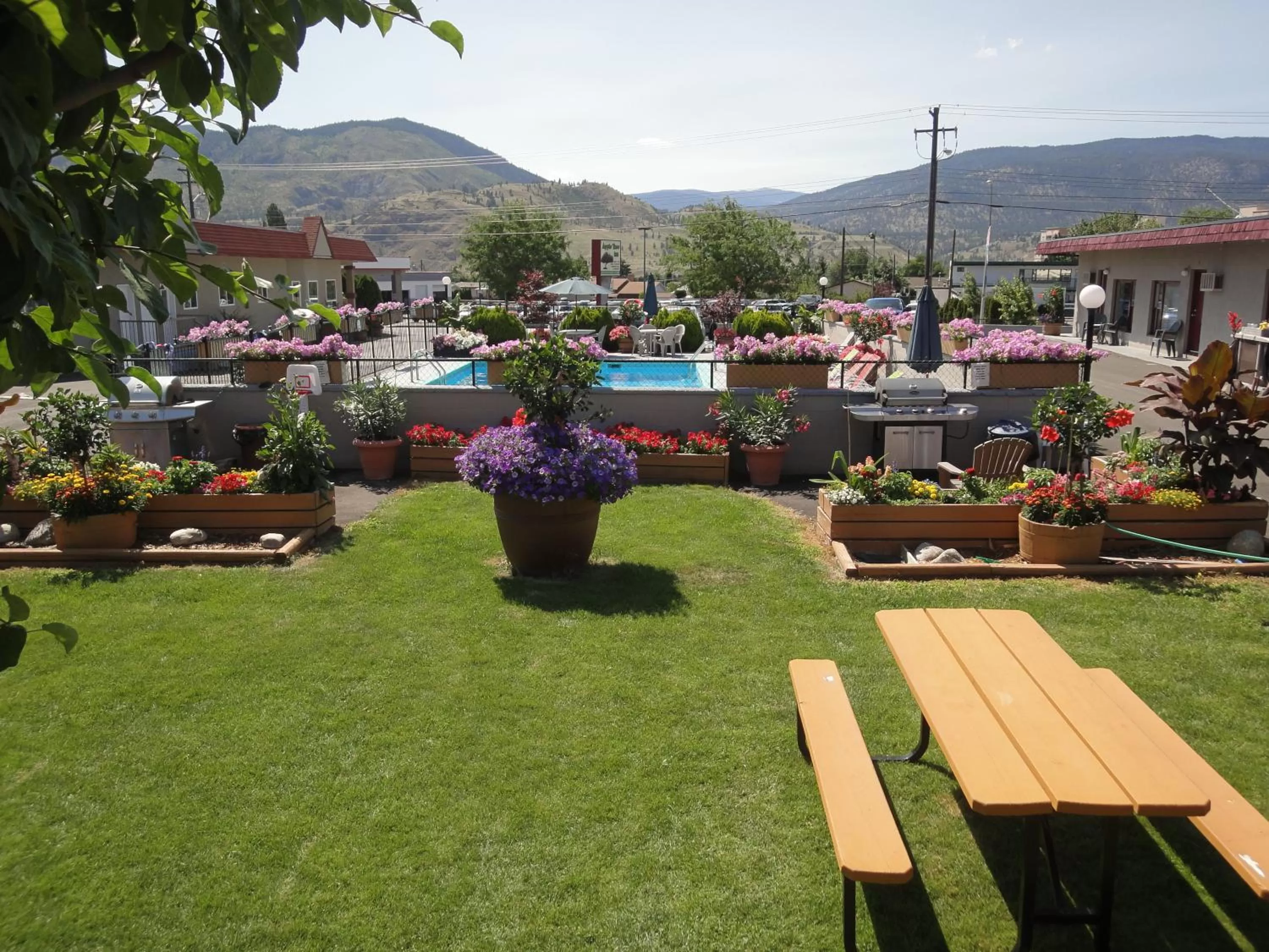 Garden in Apple Tree Inn