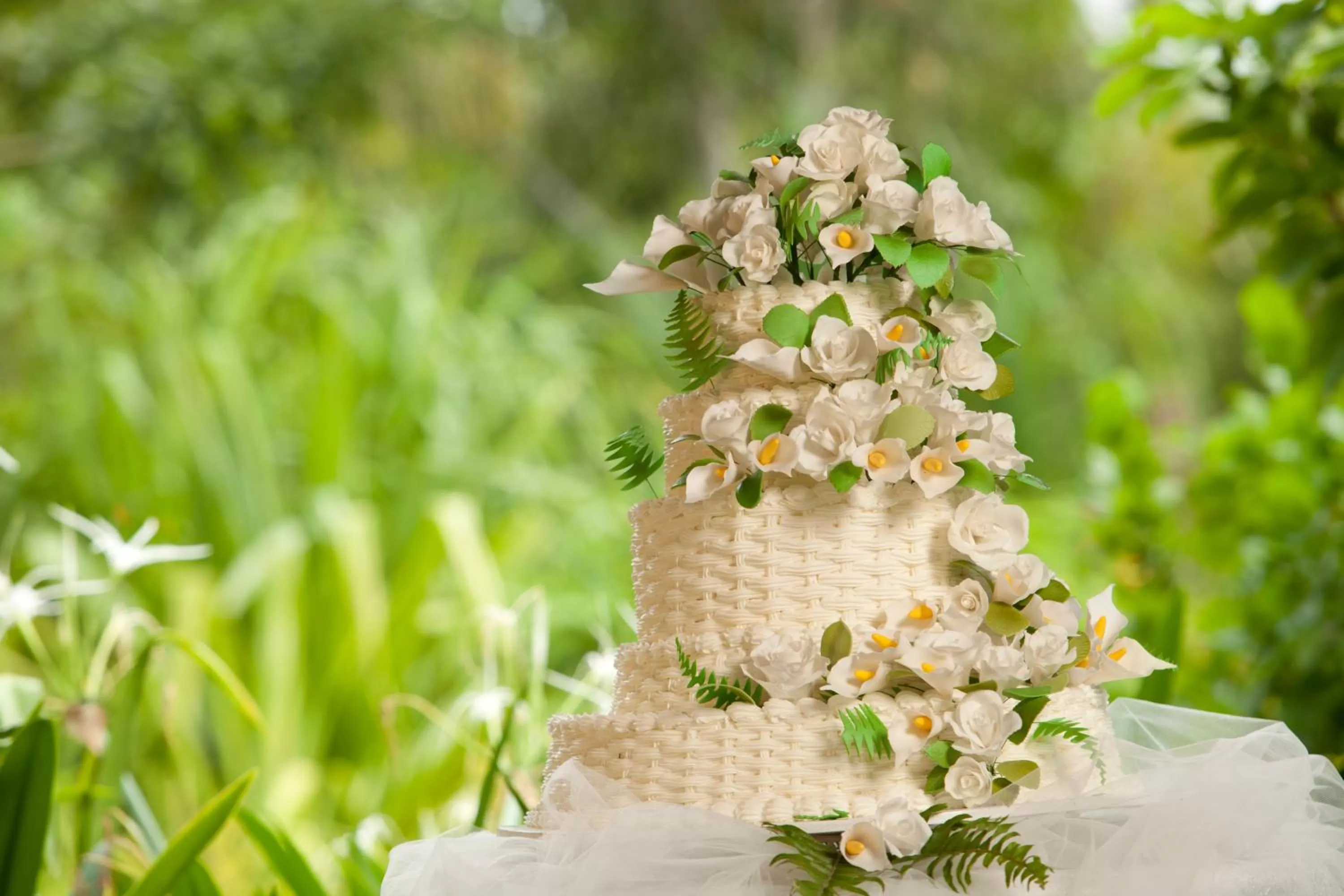 Day in Donatela Resort and Sanctuary