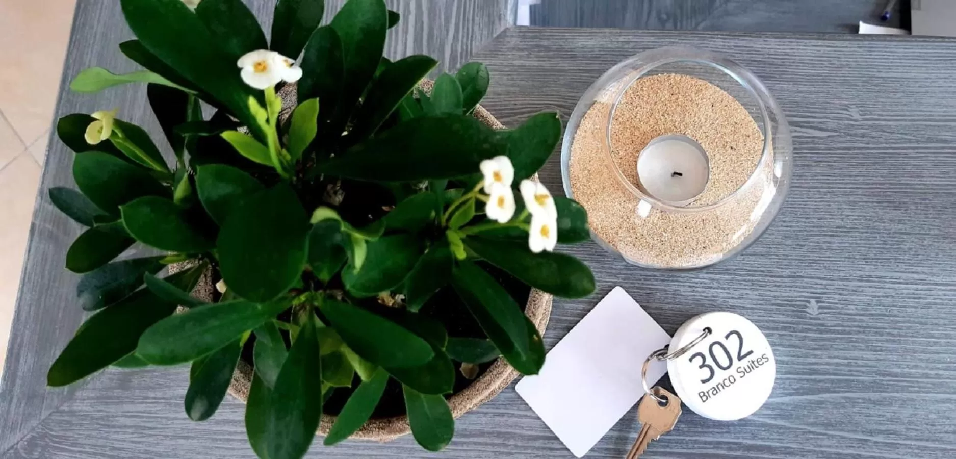 Lobby or reception in Branco Suites - Rooms & Holiday Apartments