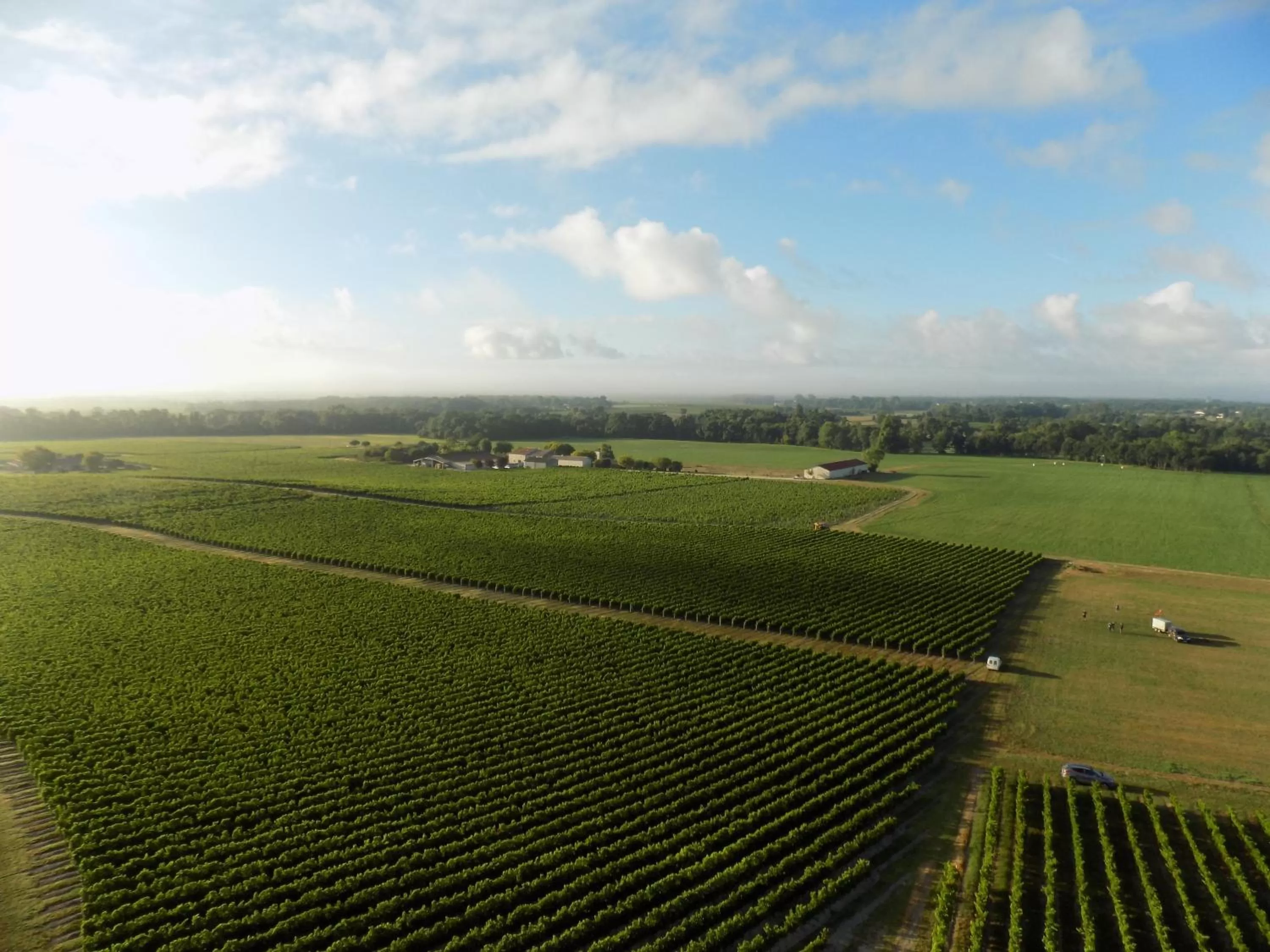 Chambres d'Hôtes Château Pierre de Montignac