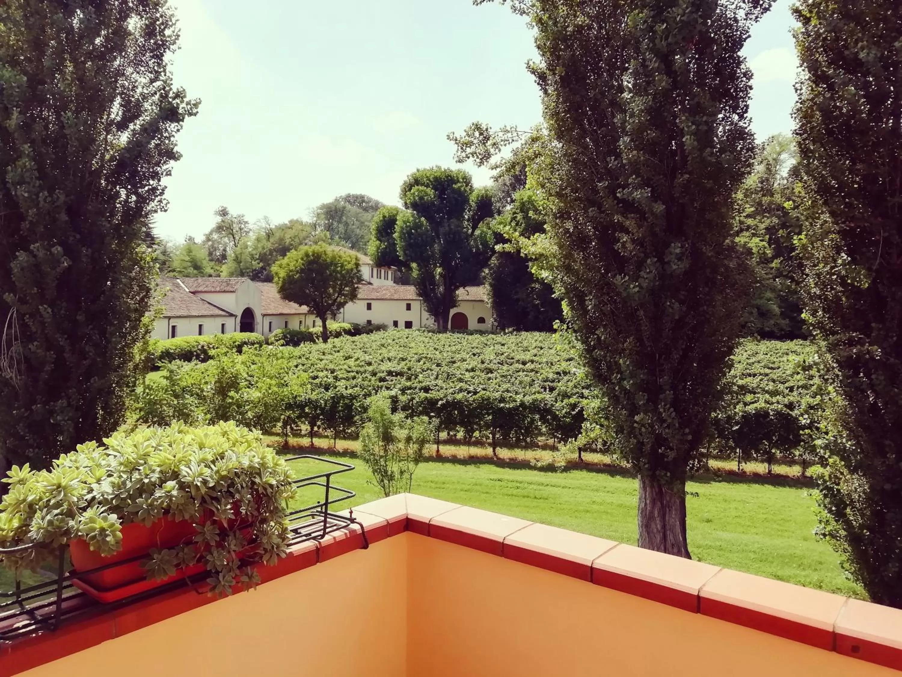 Balcony/Terrace in Villa Stefania