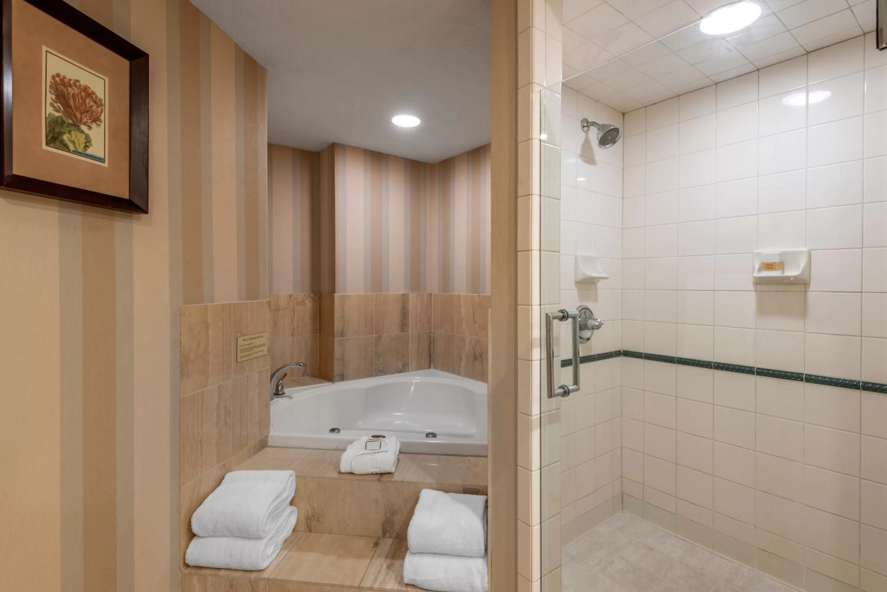 Bathroom in Omni Amelia Island Resort