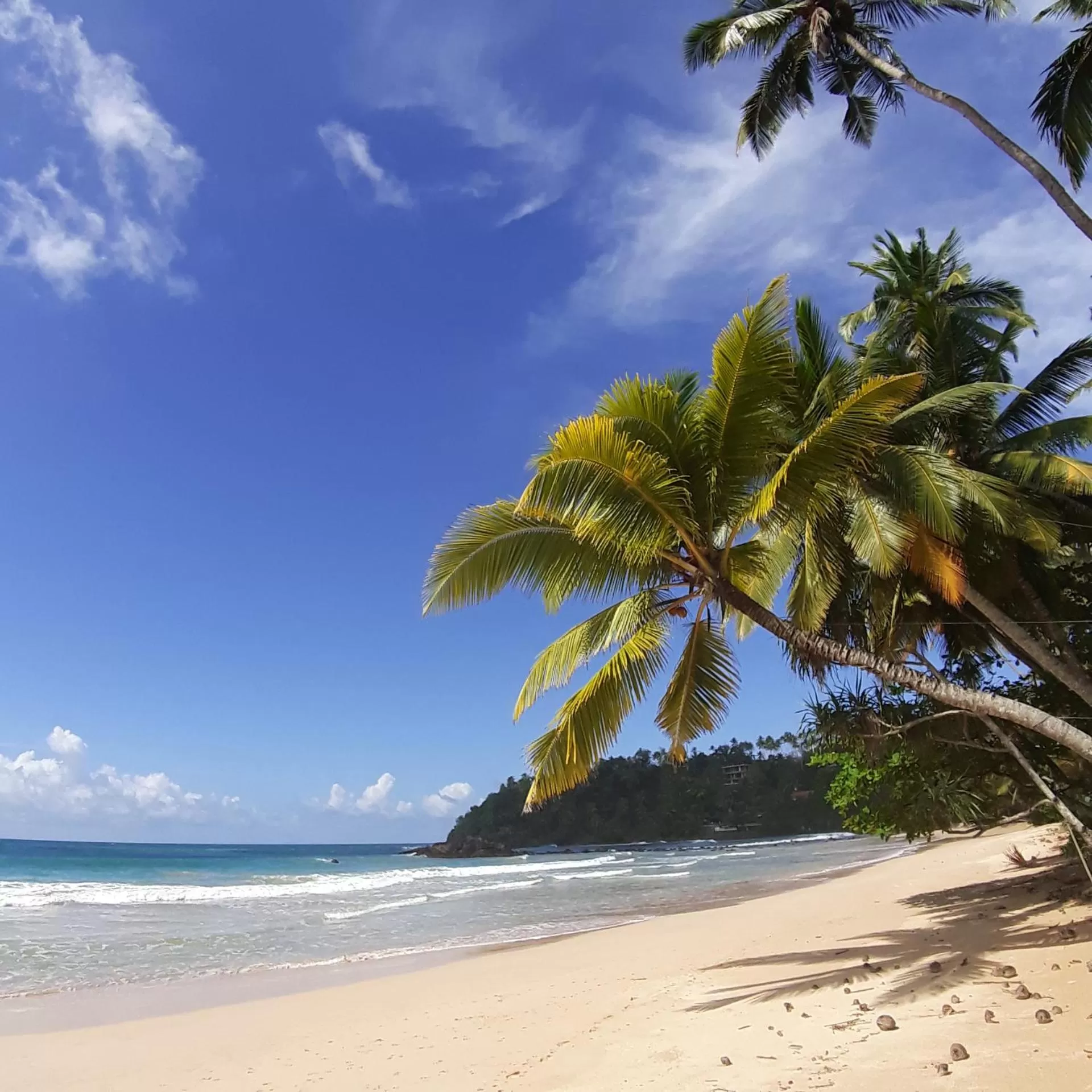 Staff, Beach in SriMany