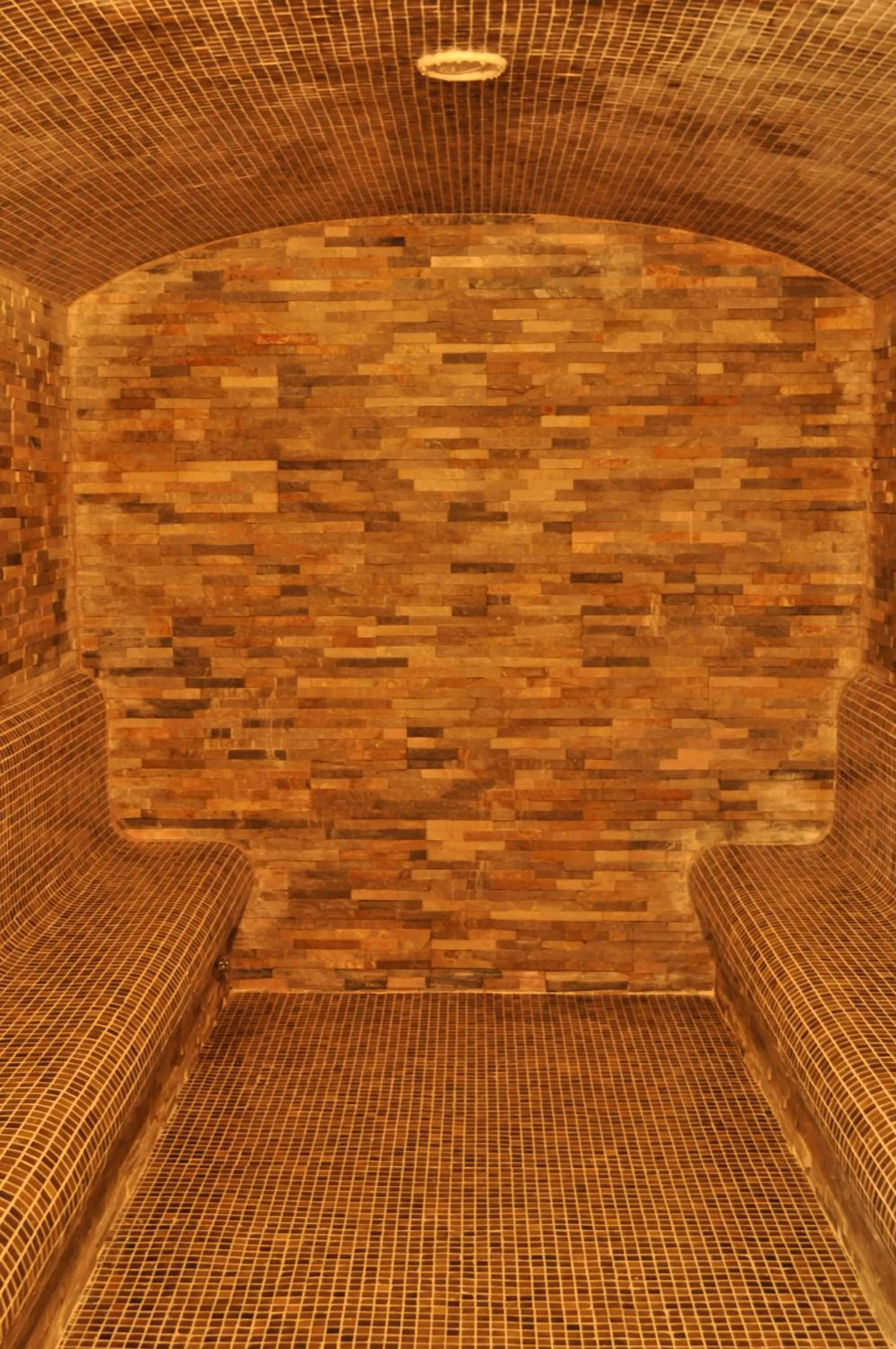 Spa and wellness centre/facilities in Hotel Delta 3