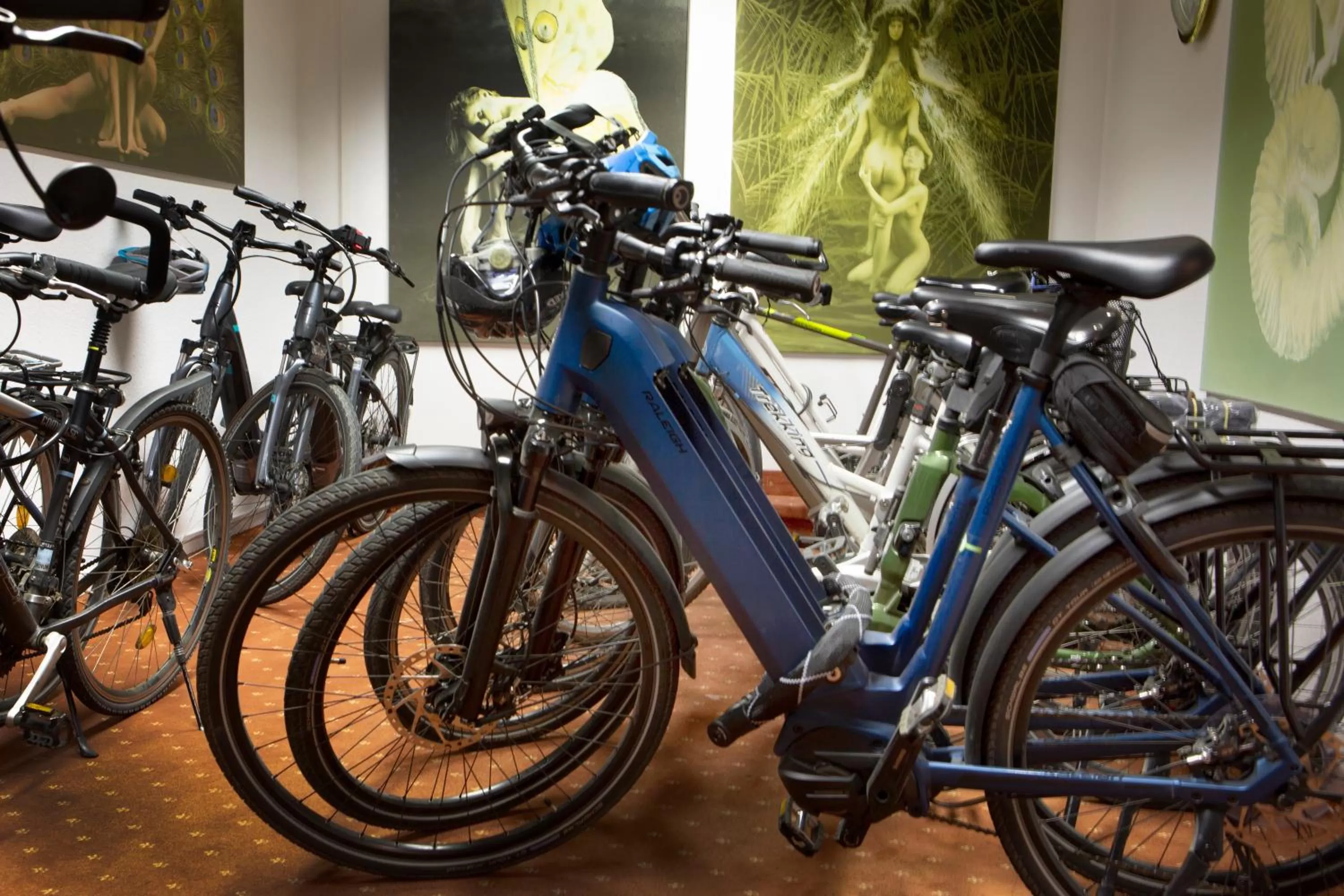 Cycling in Bad Emser Hof