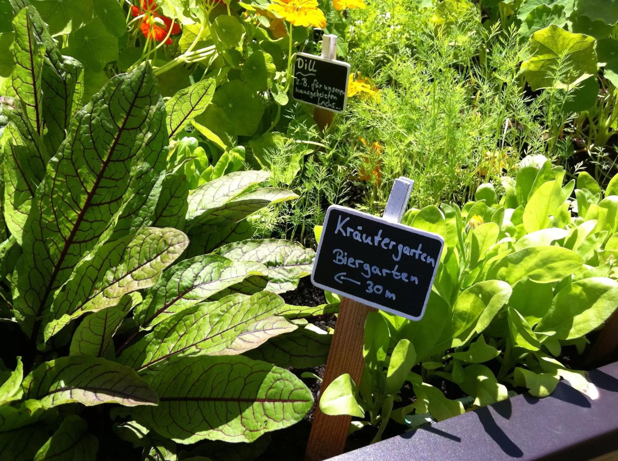 Garden in Hotel Hörterer Der Hammerwirt