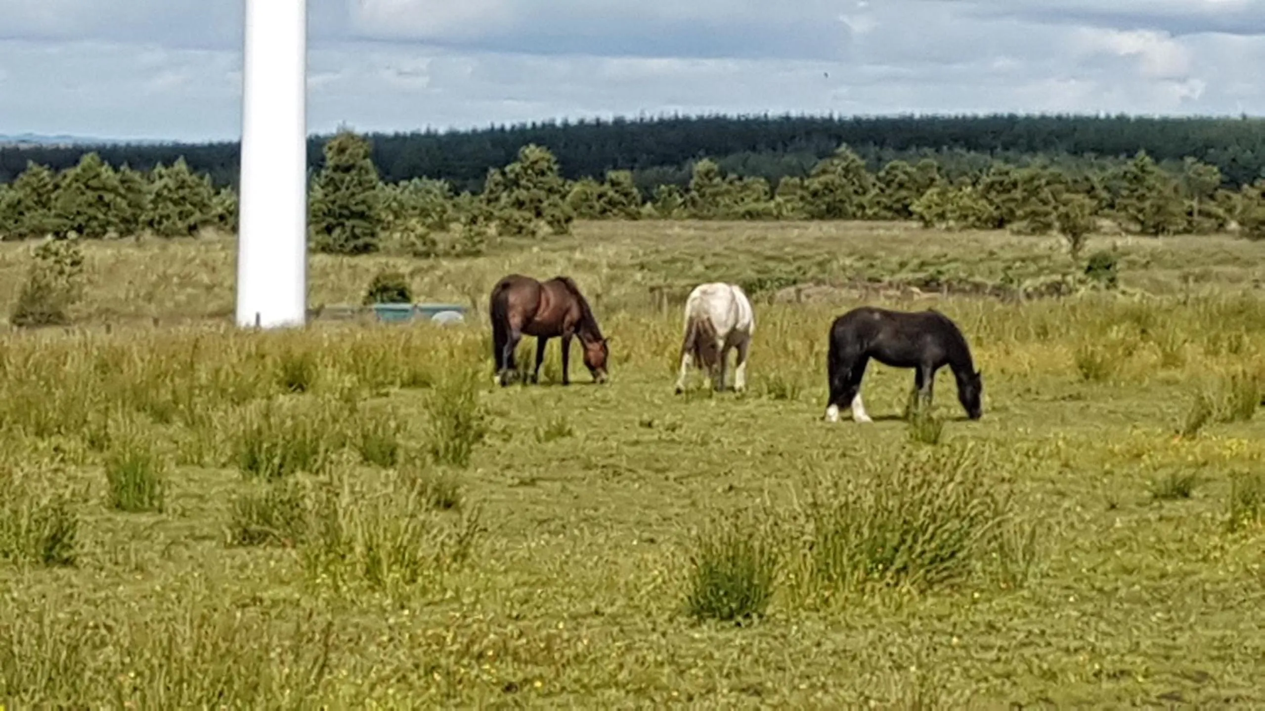 Property building in Blairmains Guest House