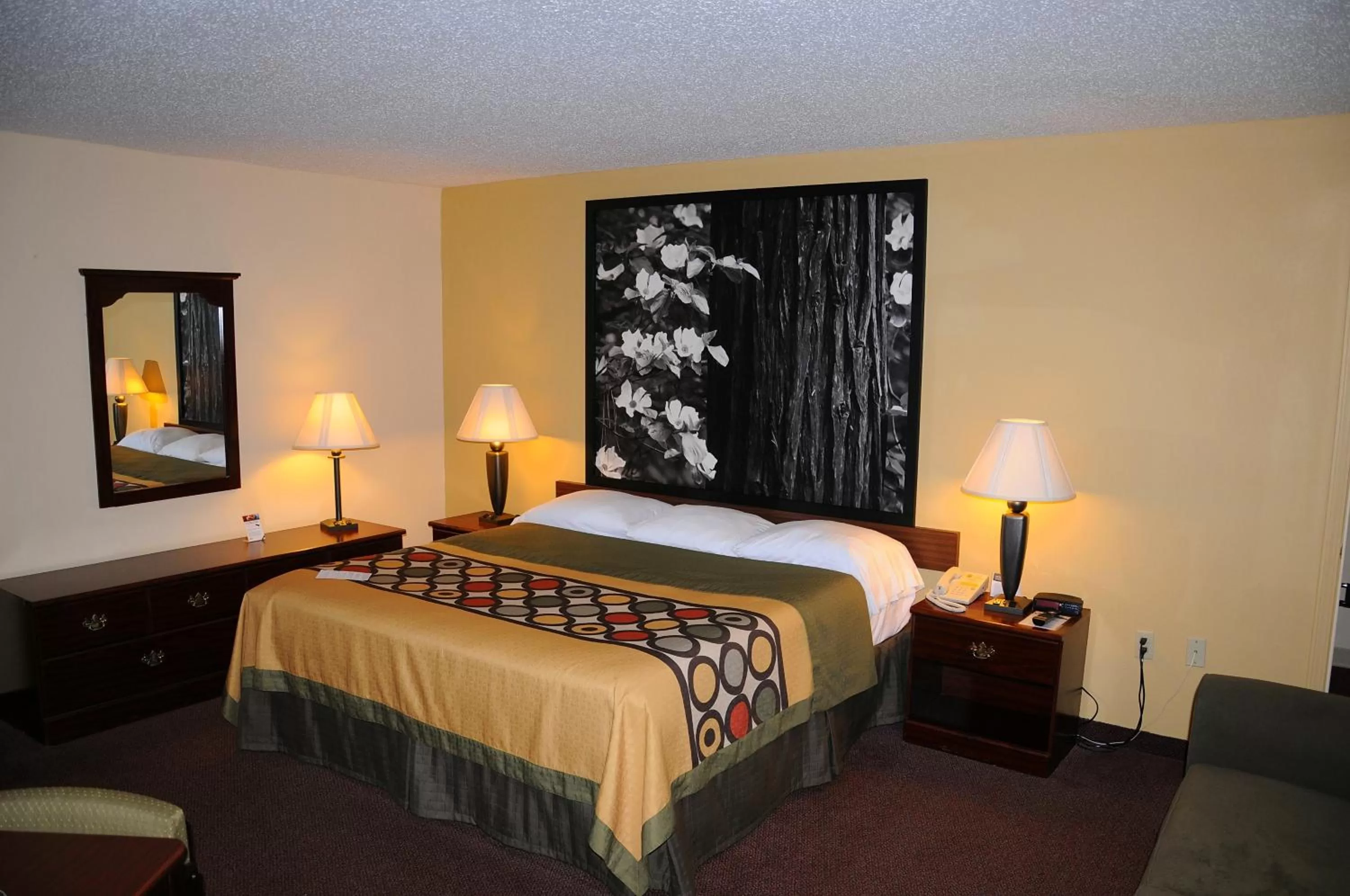 Photo of the whole room, Bed in Super 8 by Wyndham Lamar