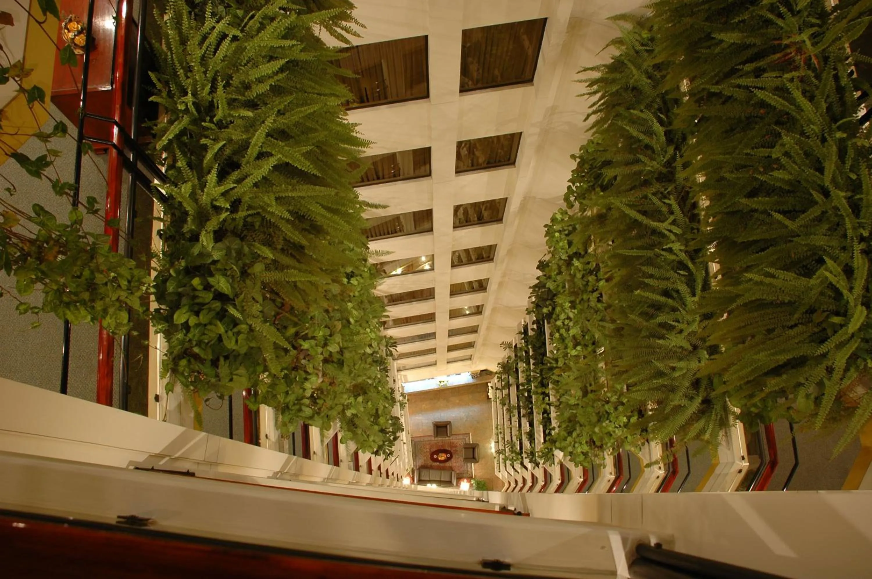 Area and facilities in Ritz Apart Hotel